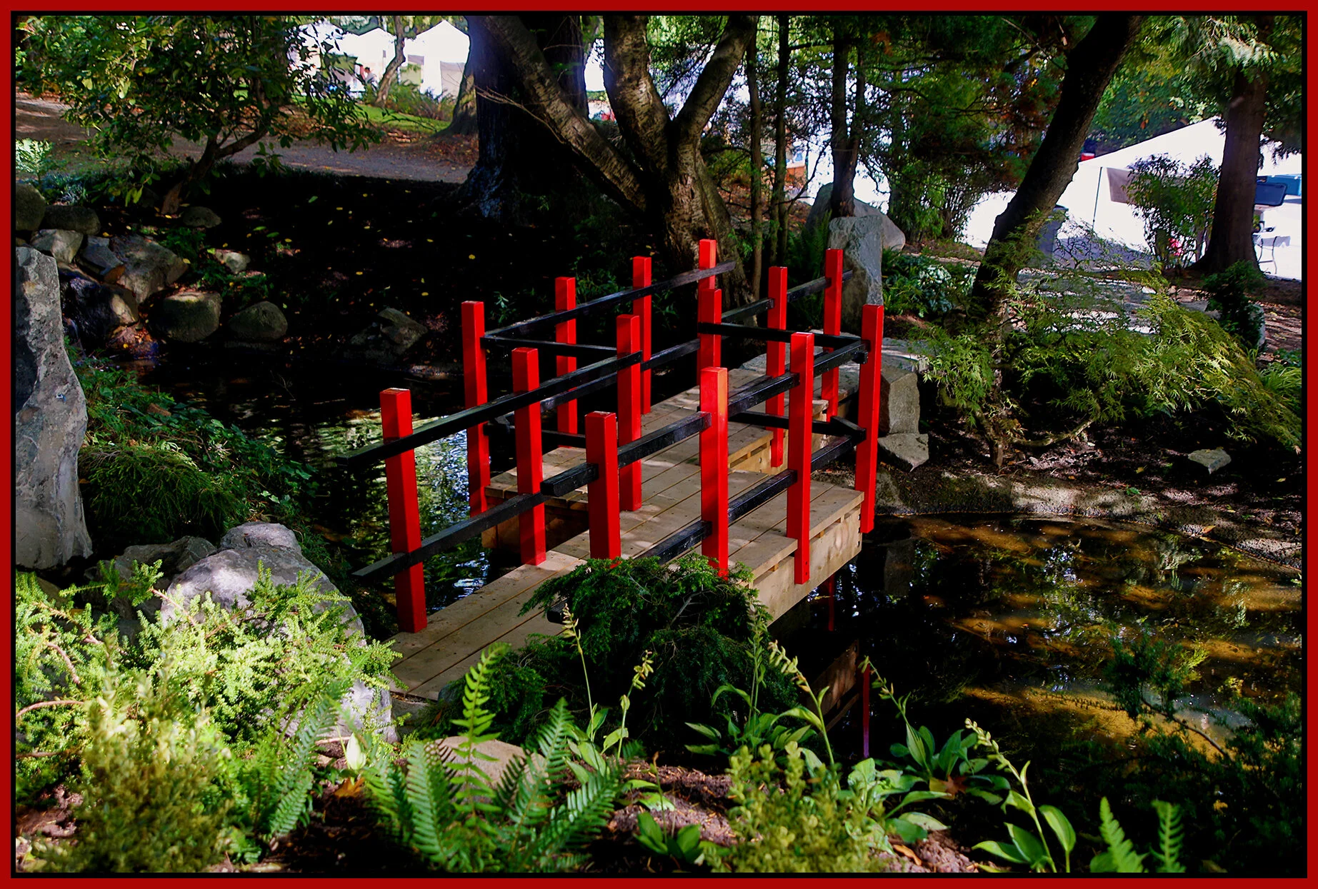 Bridge in Tipperary Pk in New West_Sep 16_2021_HDR_4G3249_peNatB II_4x6s.jpg