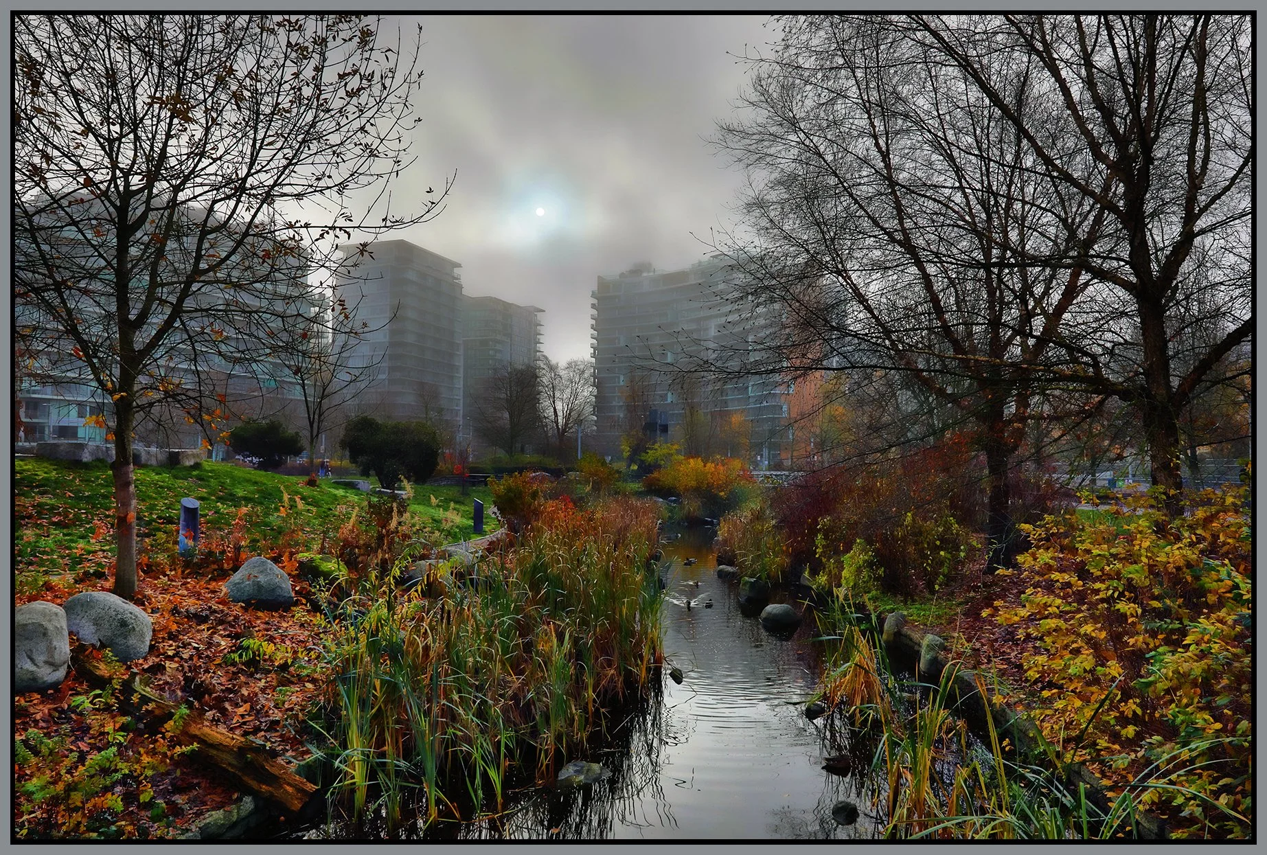 False Creek Creek LkgS in Fog_Nov 26_2023_HDR_5E0805_peShdngCntrst_4x6s.jpg