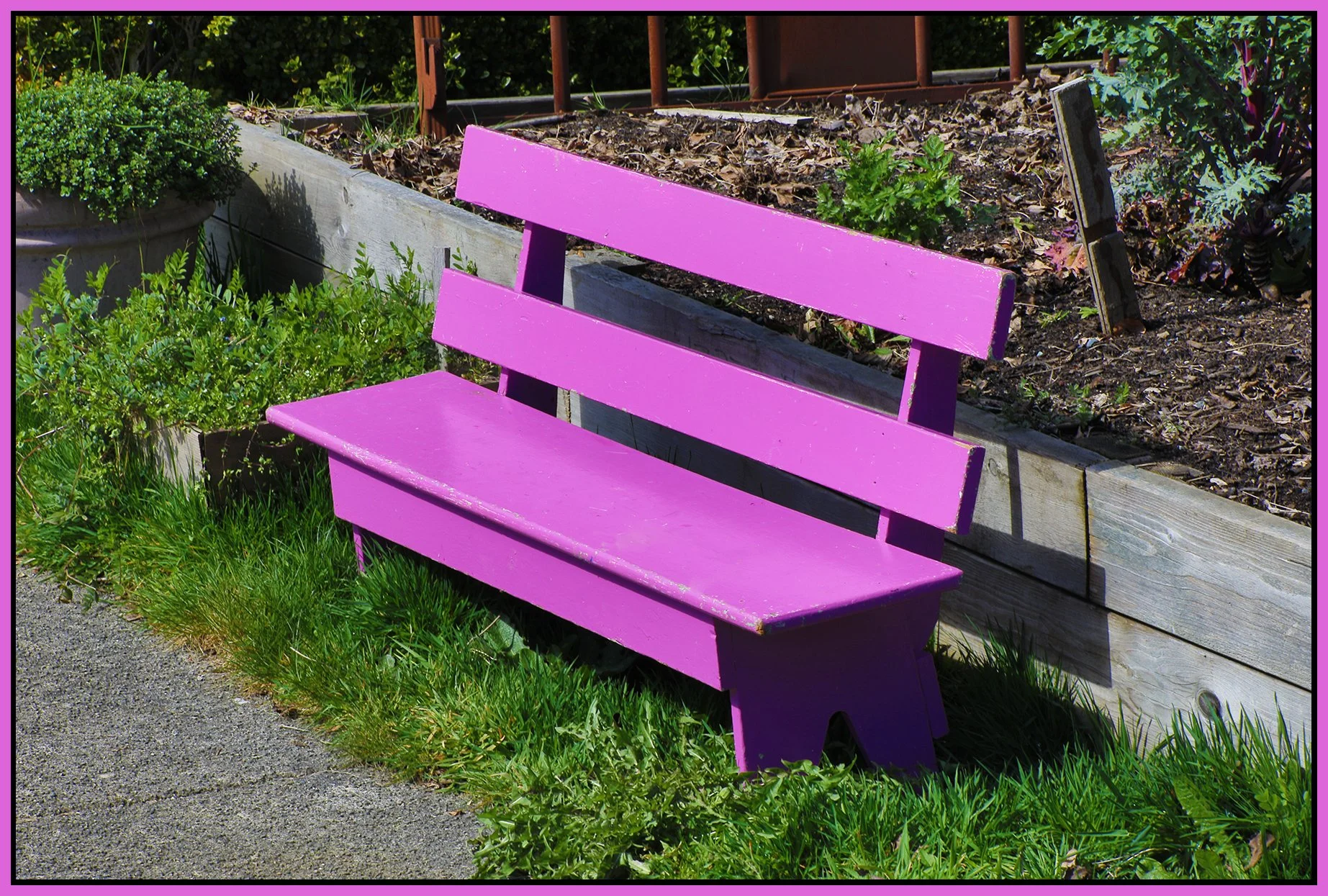 Bench at 2645 Dundas_Mar 30_2022_HDR_4G7763_4x6s.jpg