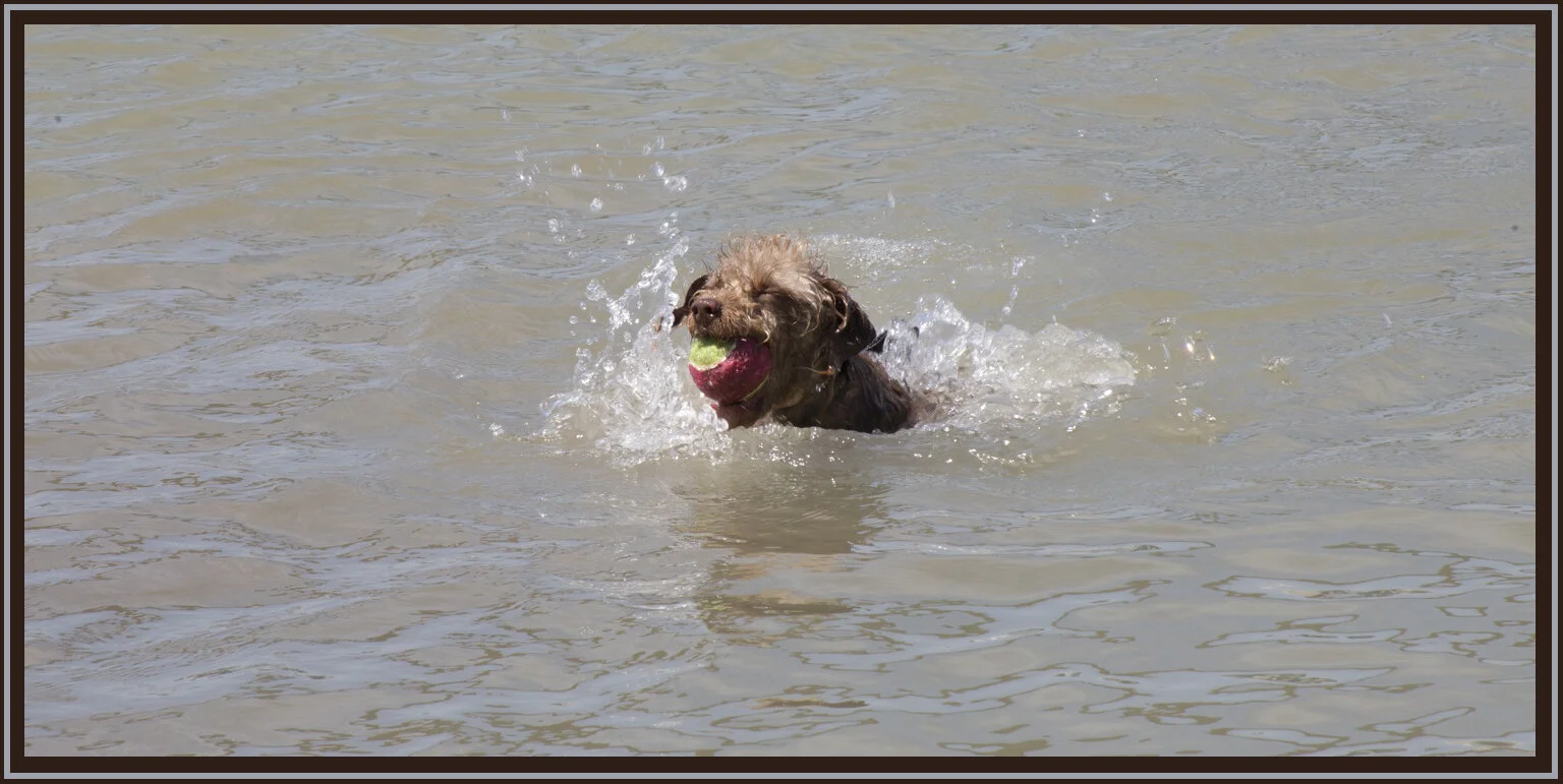 Frances in Brownsville Pk_Jul 4_2017_L7106_4x6s.jpg