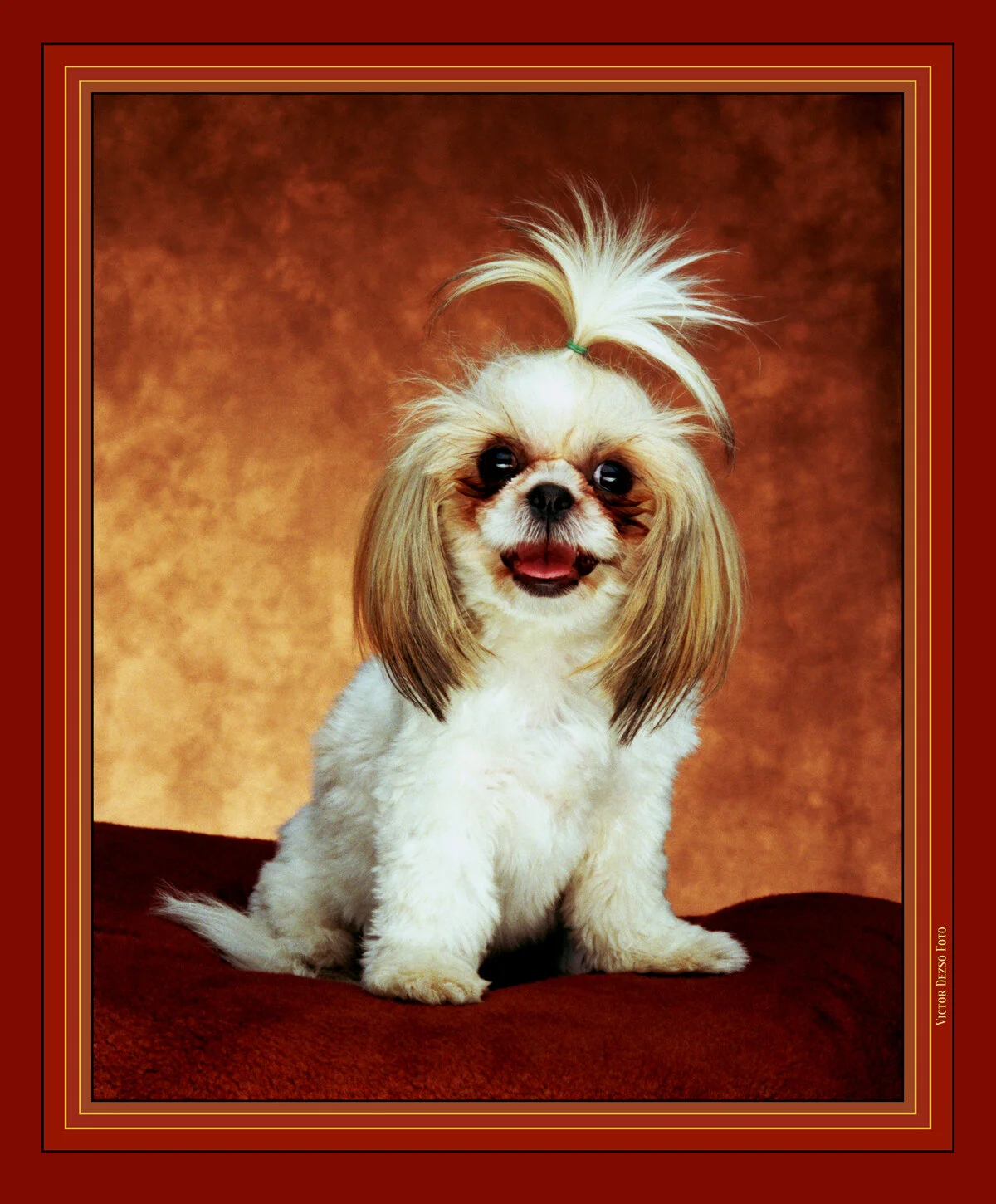 Maggie_18a_1_4x6s.jpg
