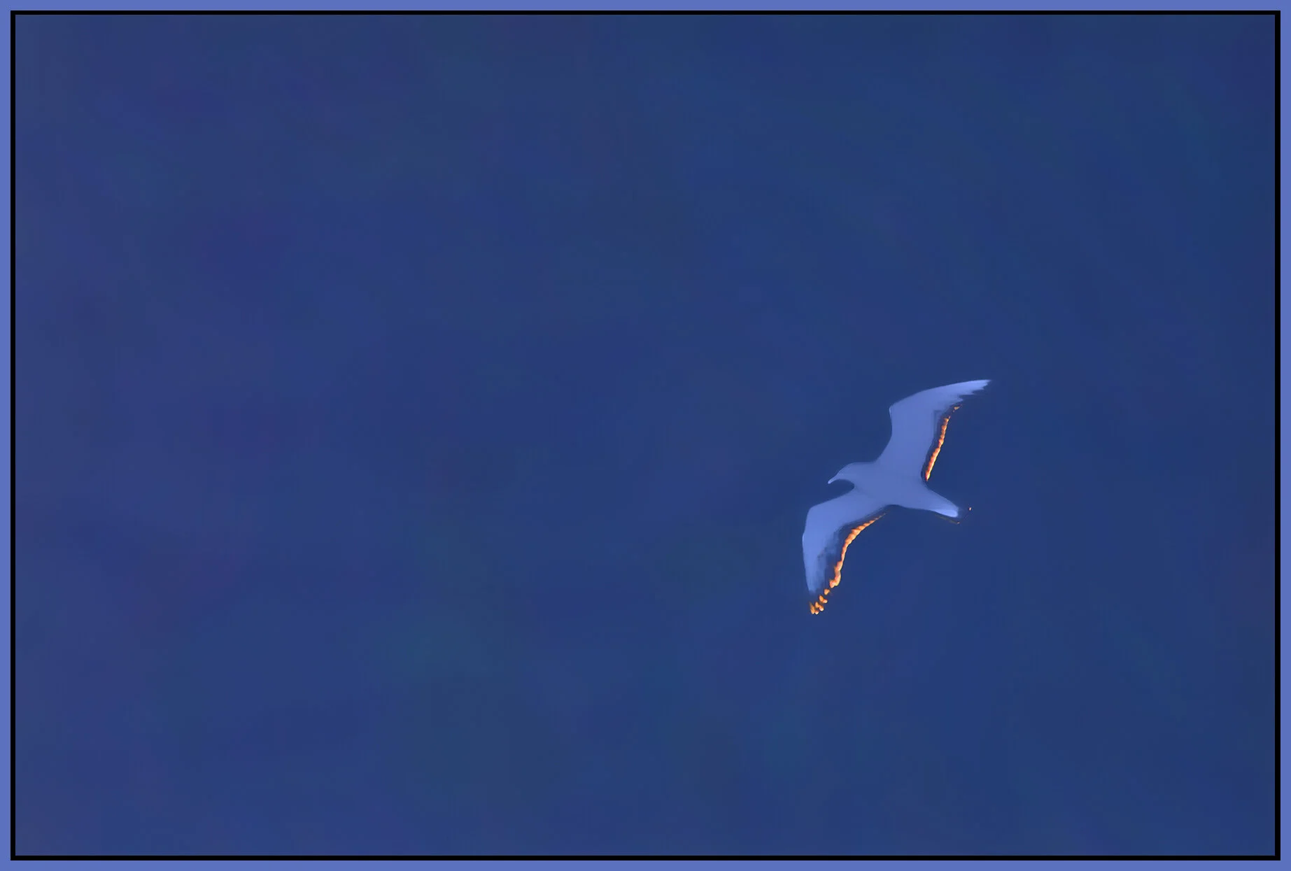 Seagull Ghost_Jul 13_2021_HDR_5A3203_peHdr2013_1_4x6s.jpg