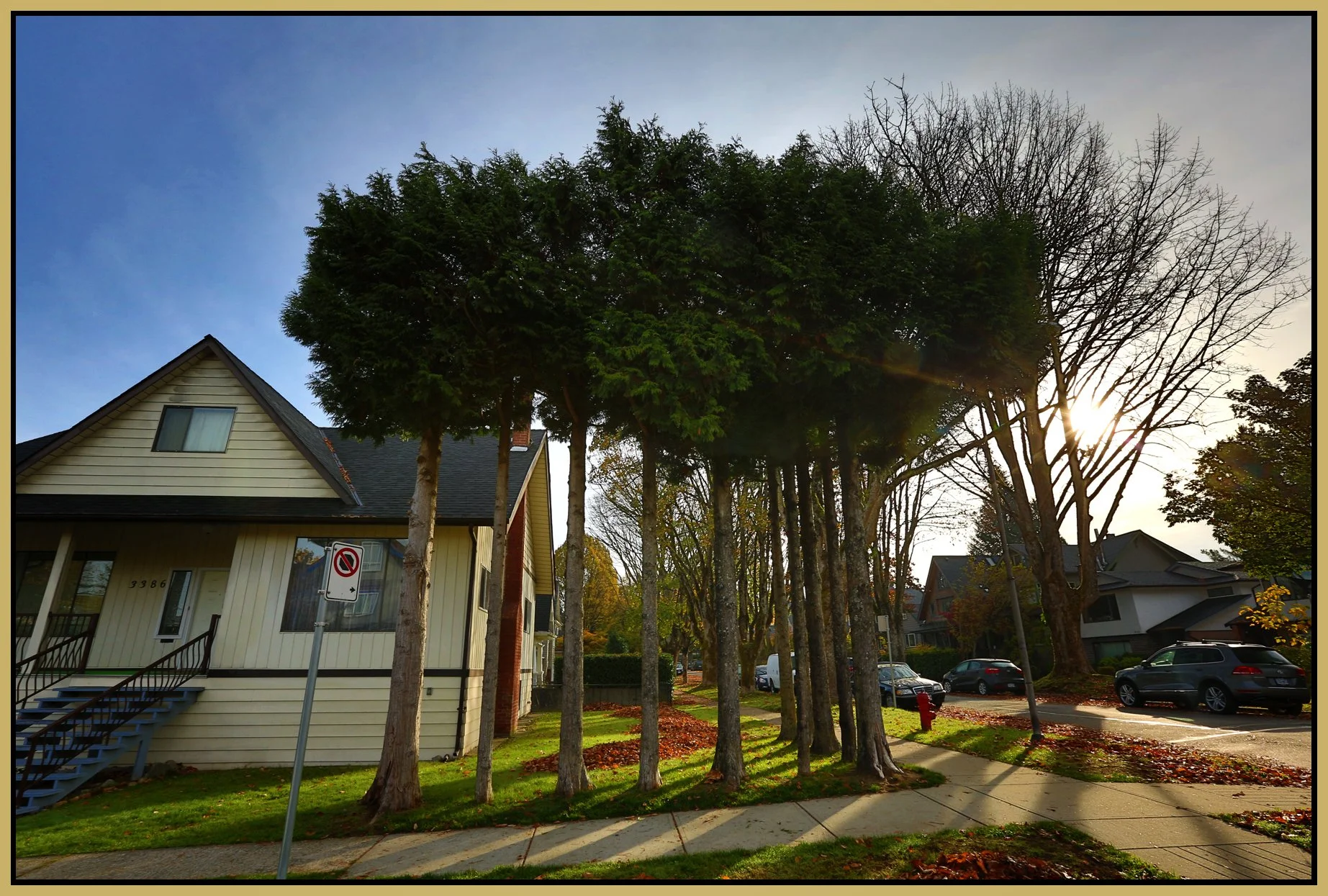 3386 Yukon Trees_Oct 24_2015_HDR_H8081_4x6s.jpg