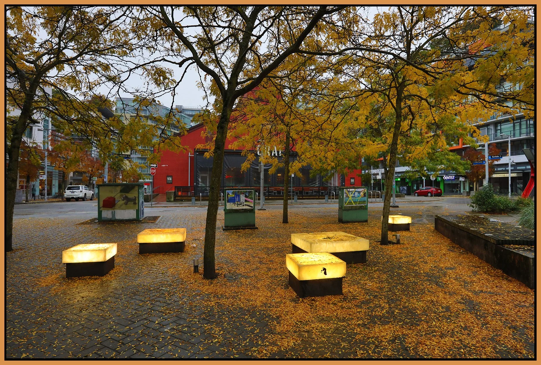 The Village Trees_Oct 14_2024_HDR_5E3024_4x6s.jpg