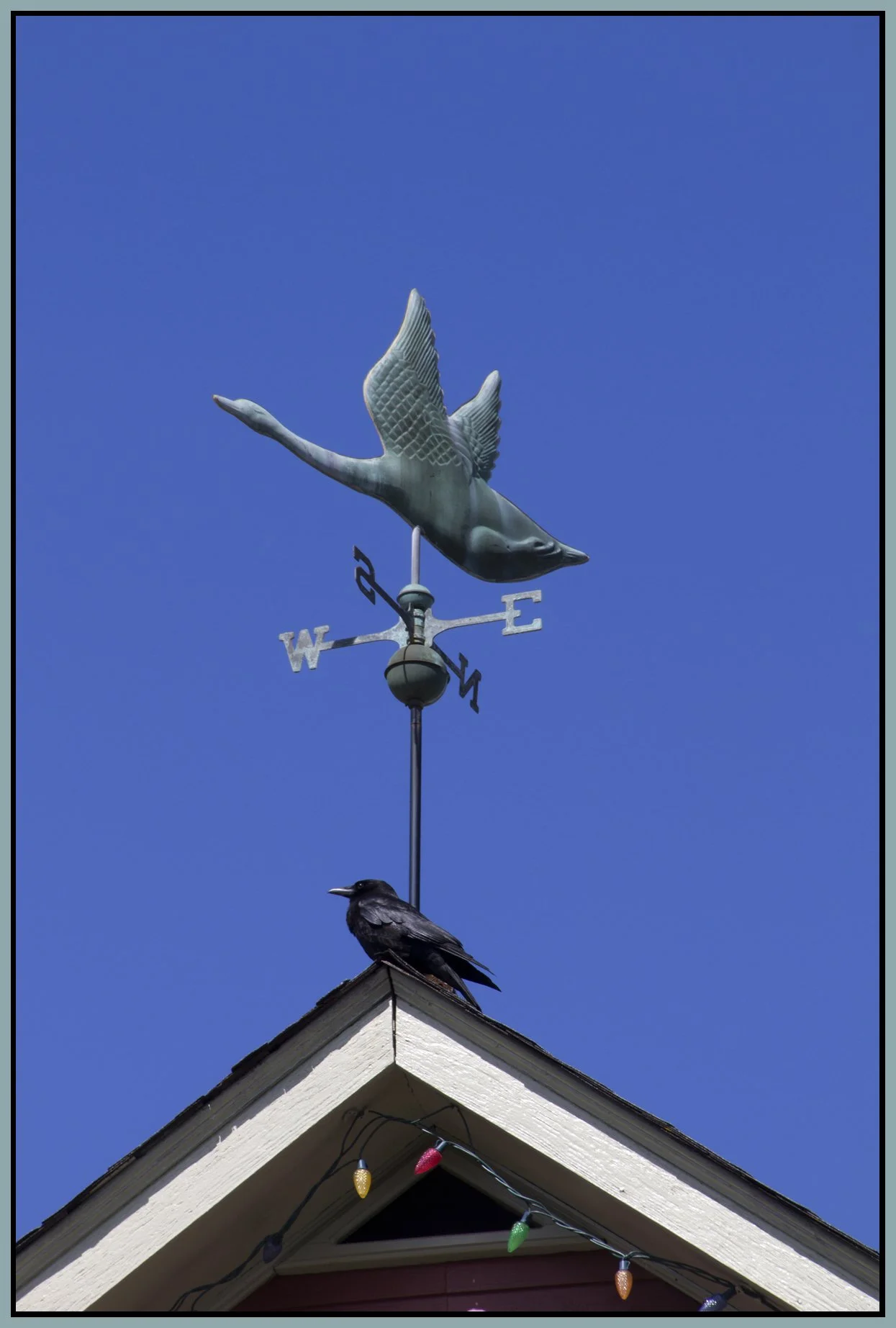 Weather Vane_Apr 17_2011_2119_4x6s.jpg