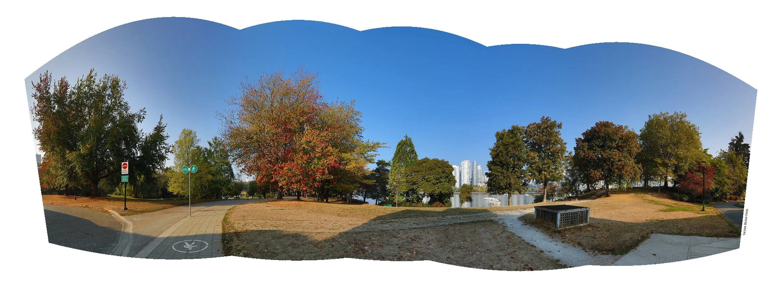 Charleson Pk Trees_Oct 19_2022_HDR_Pan_5C3926_4x11.jpg