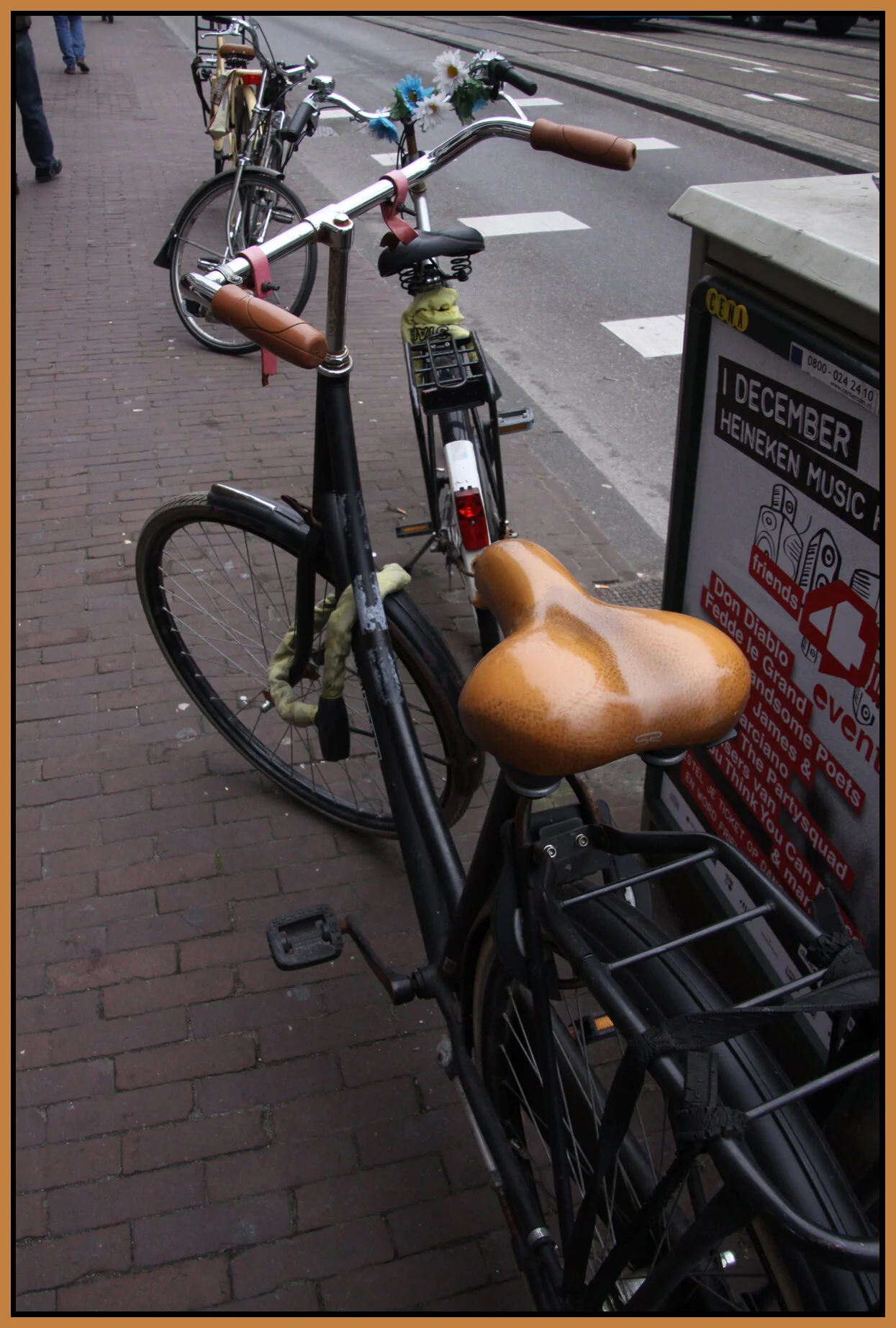 Amsterdam bikes_Nov 8_2011_6712_4x6s.jpg