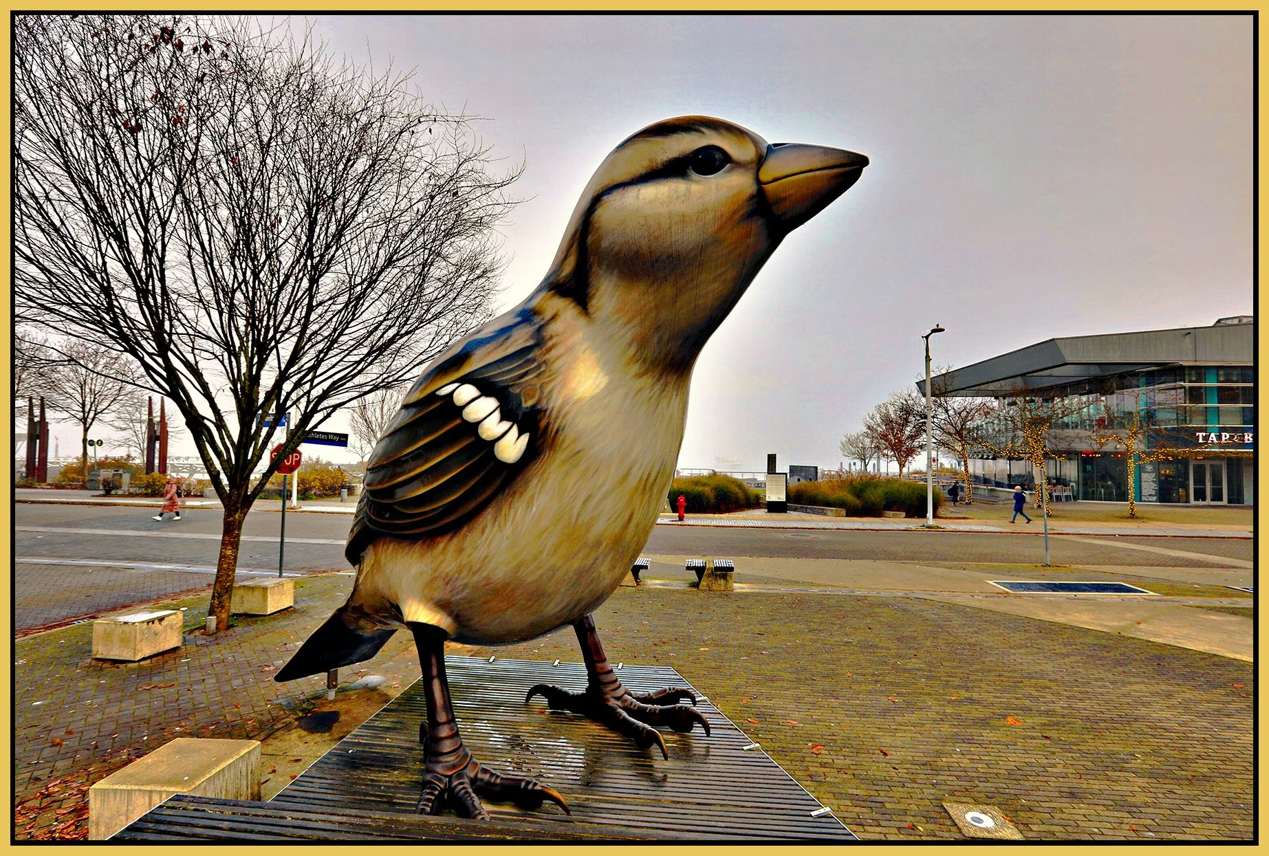 The Village Art in Fog_Nov 29_2023_HDR_Pan_5E1159_peVenice_4x6s.jpg