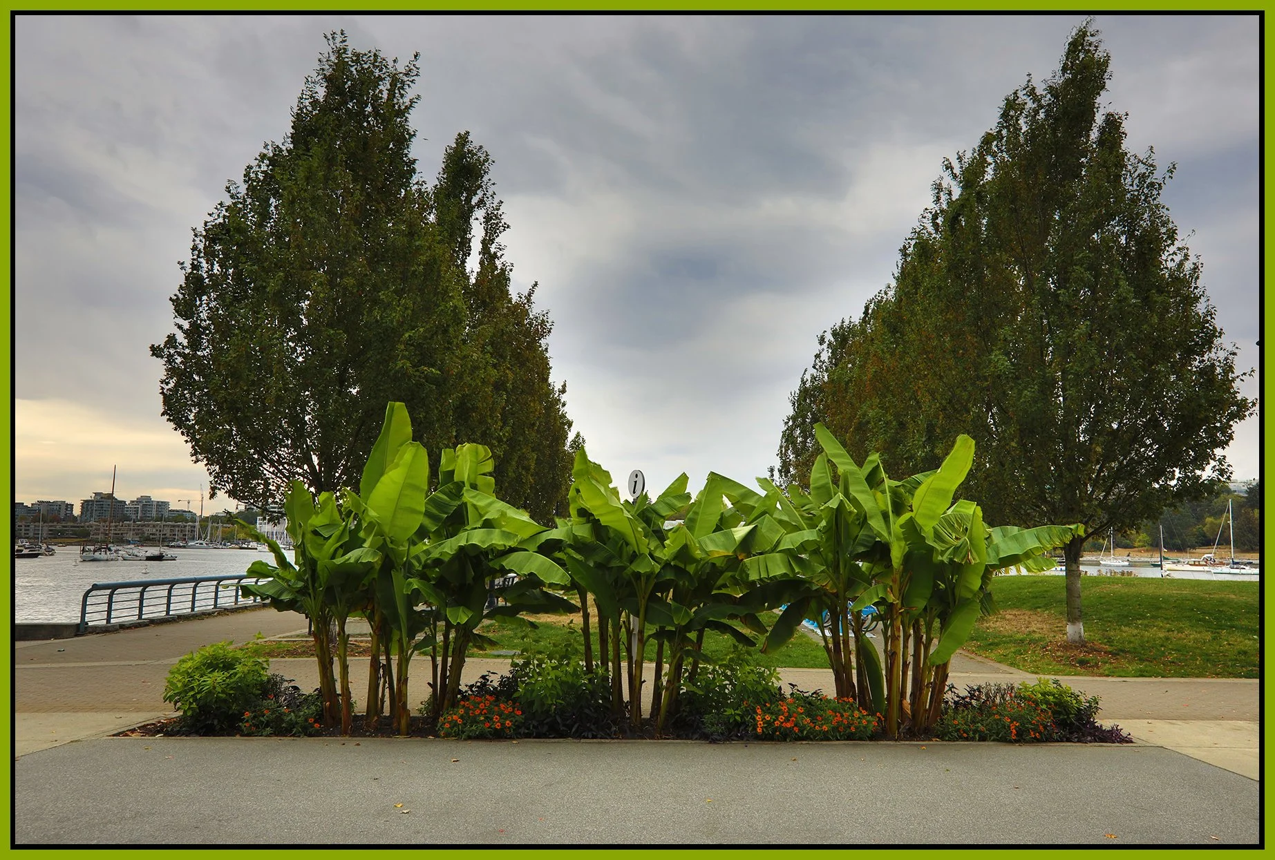 Plants Concord Pacific_Sep 28_2022_HDR_5B9977_4x6s.jpg