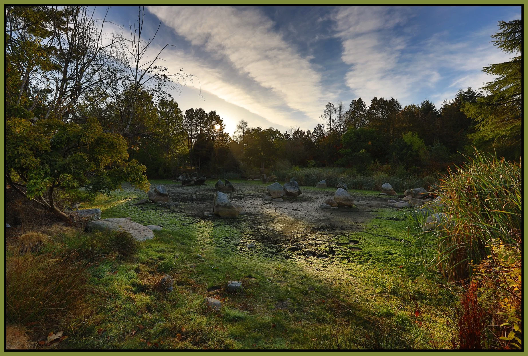 Charleson Pk Pond_Oct 12_2022_HDR_5C2512_4x6s.jpg