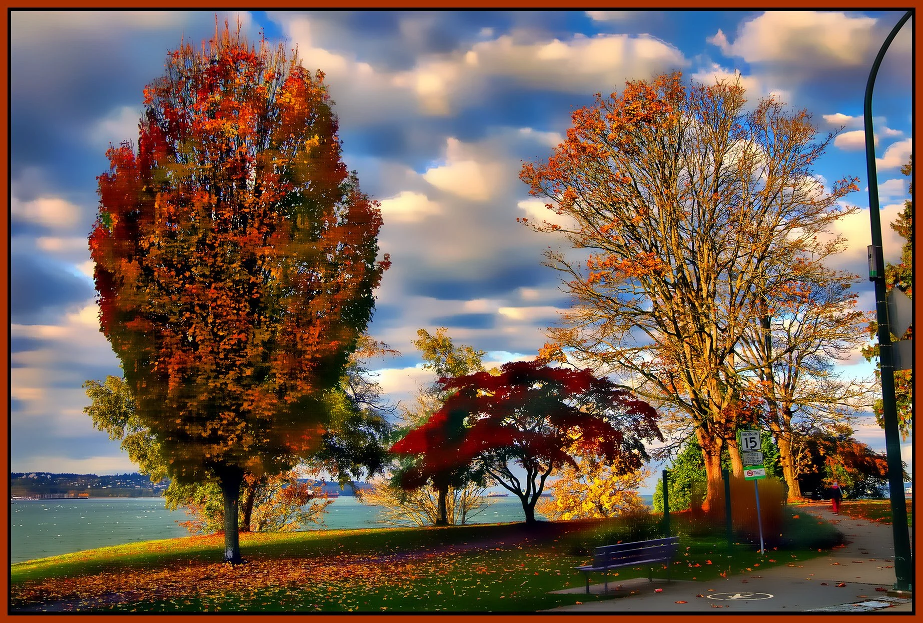 English Bay Trees_Oct 23_2023_HDR_5C8492_peHyperstrip_Hdr2013_1_4x6s.jpg