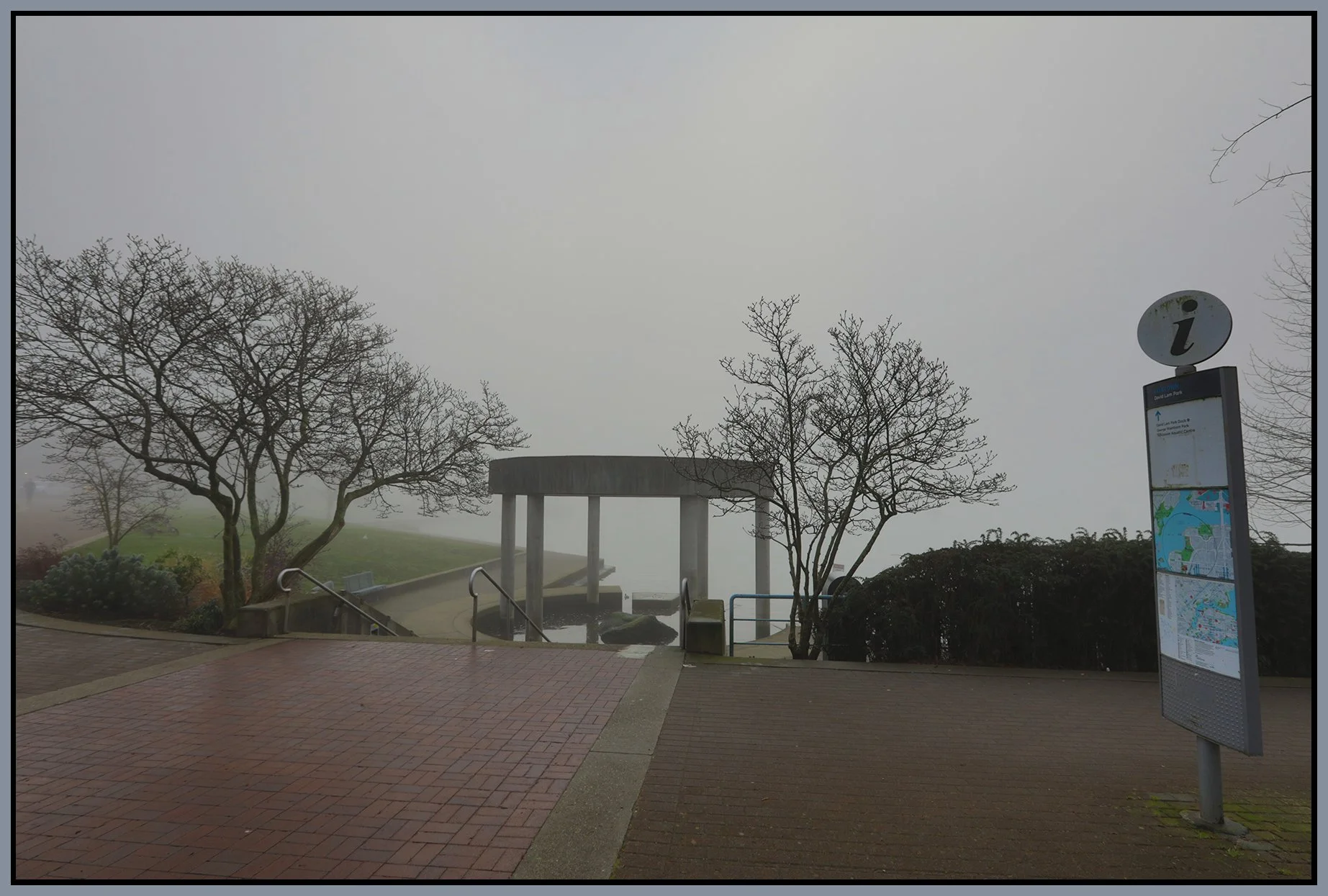 Concord Pacific Trees LkgS_Jan 19_2026_HDR_4K7278_4x6s.jpg