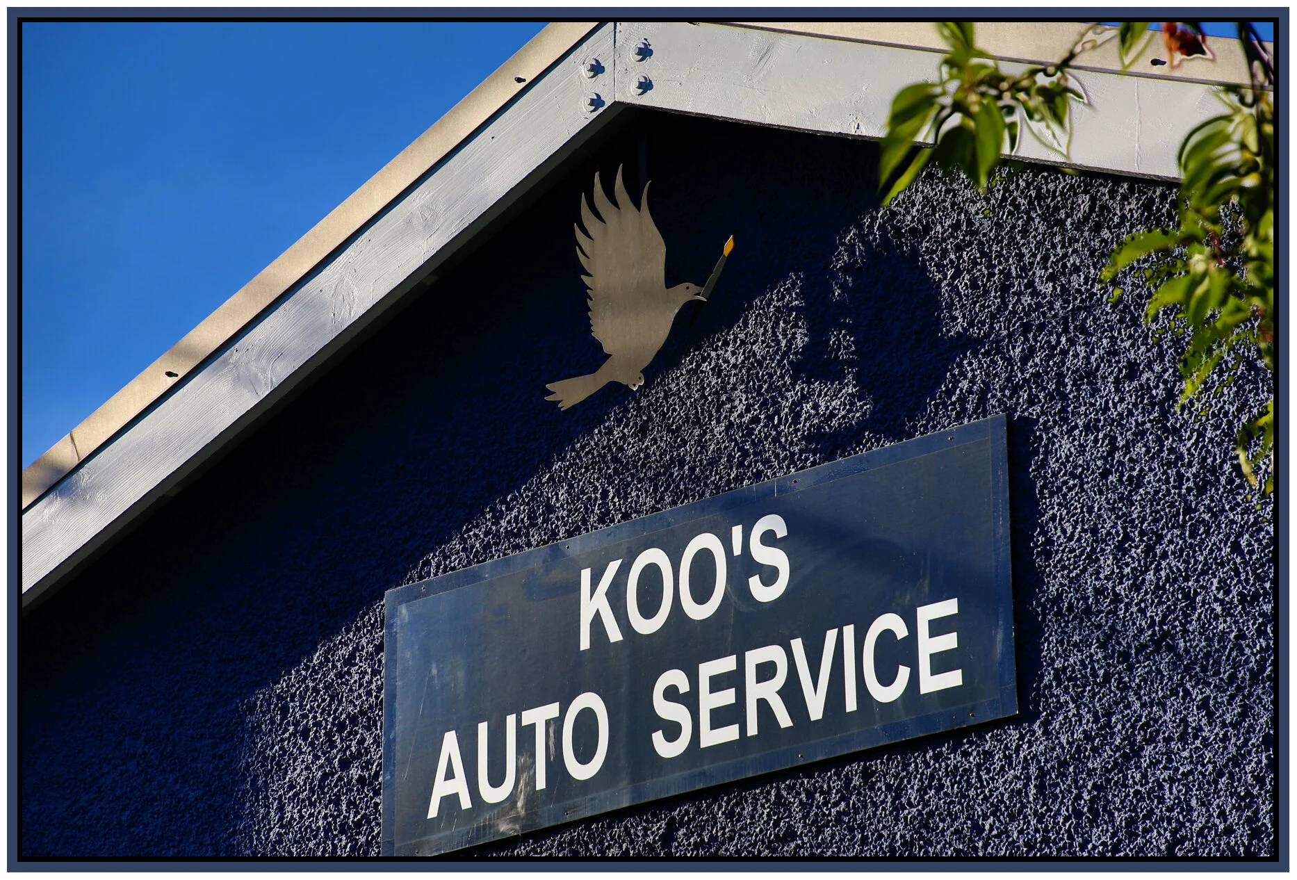 Strathcona Black Bird_Jun 21_2015_HDR_G2337_4x6s.jpg