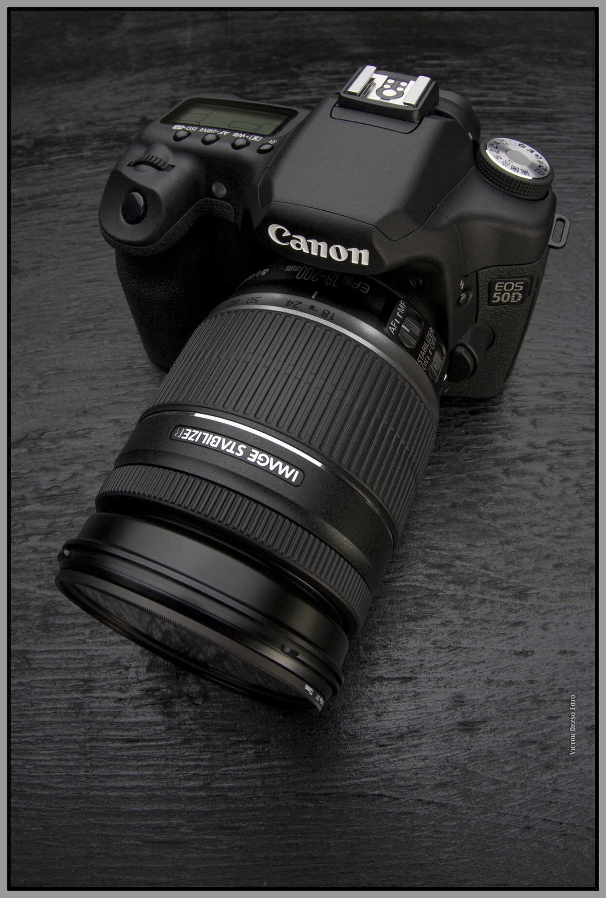 Canon 50D_Nov 14 08_0125_4x6s.jpg