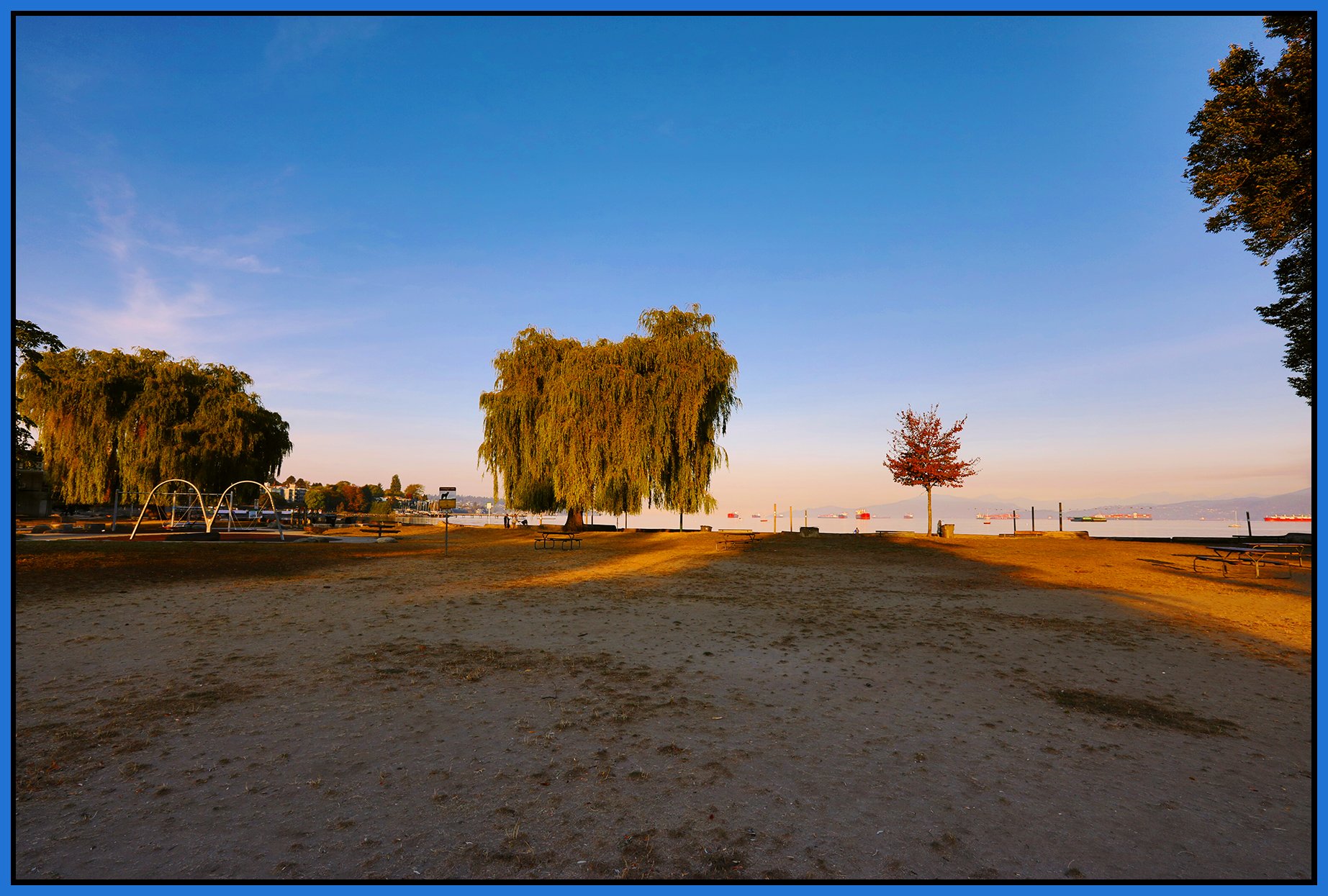 Kits Beach Trees_Oct 14_2022_HDR_5C2976_peEWGT_4x6s.jpg