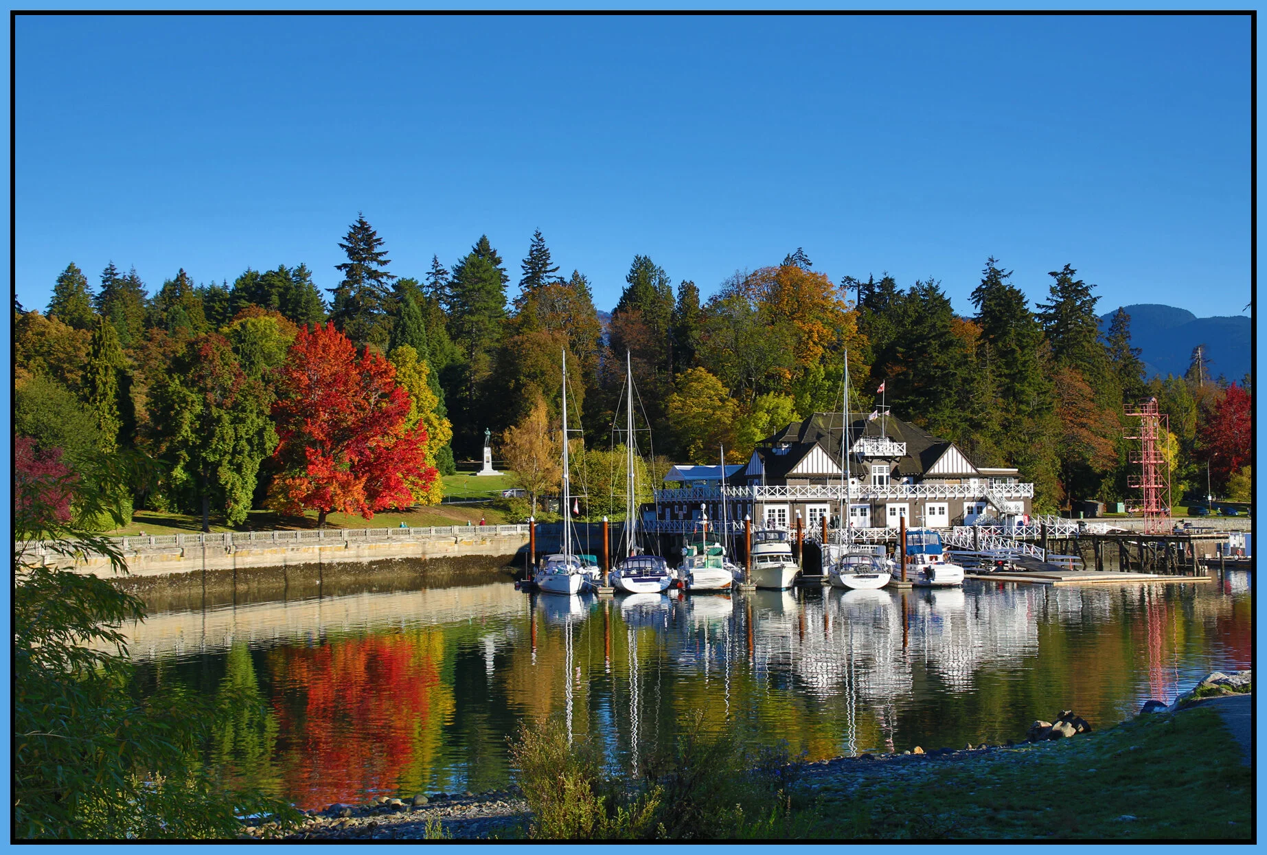 Stanley Pk Tree_Oct 11_2016_HDR_L1250_4x6s.jpg