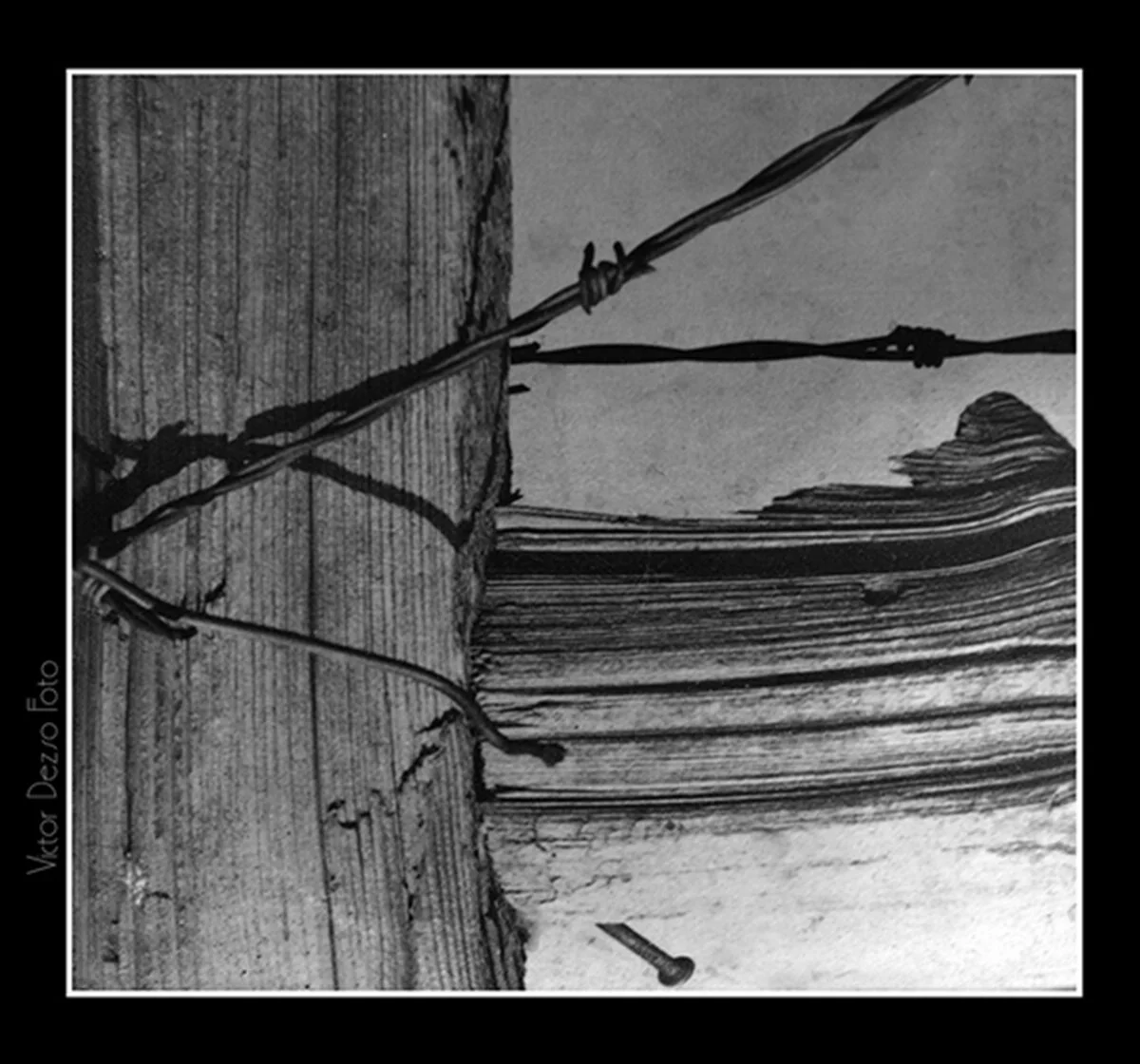 1970 BW Fence_C6771_peAccurtBW_4x4s.jpg