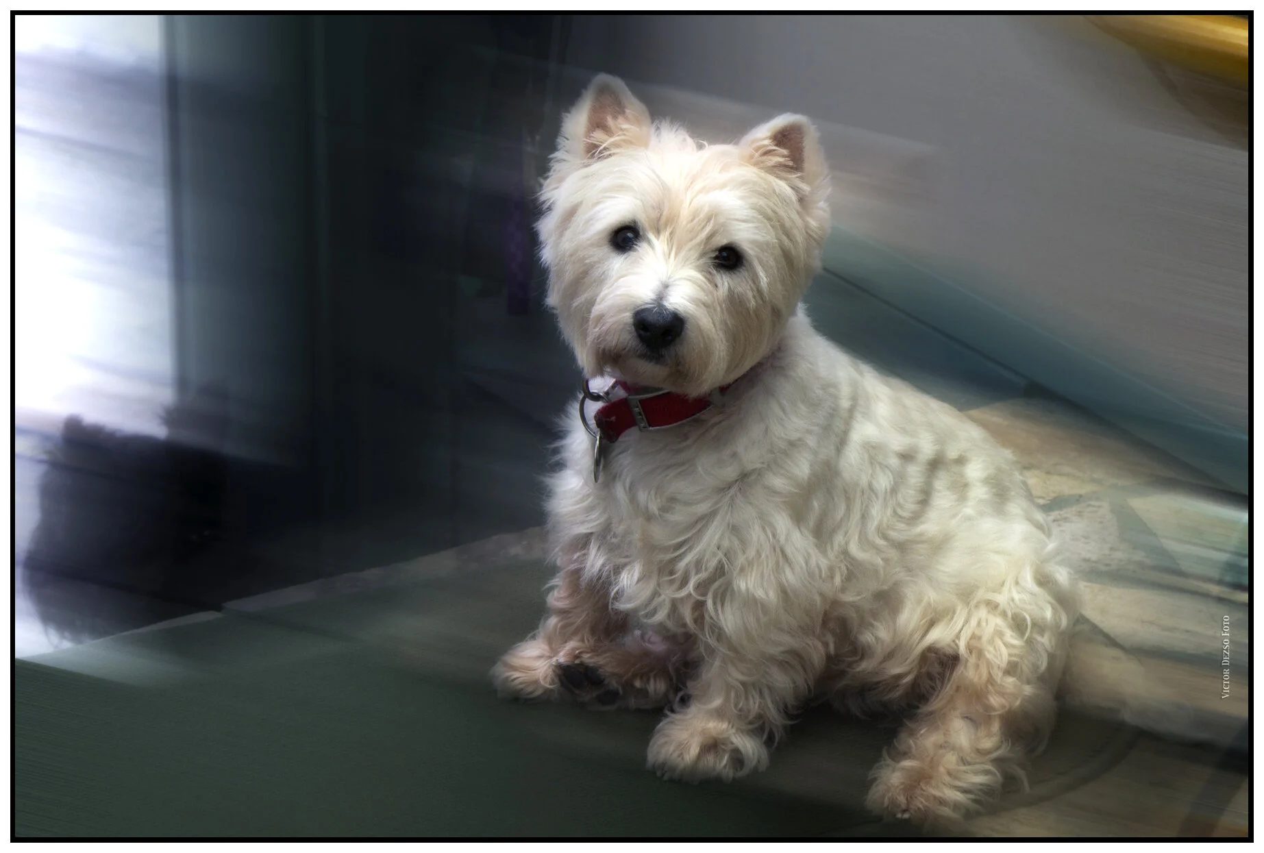 Soda_Jan 20_2011_0591v_4x6s.jpg