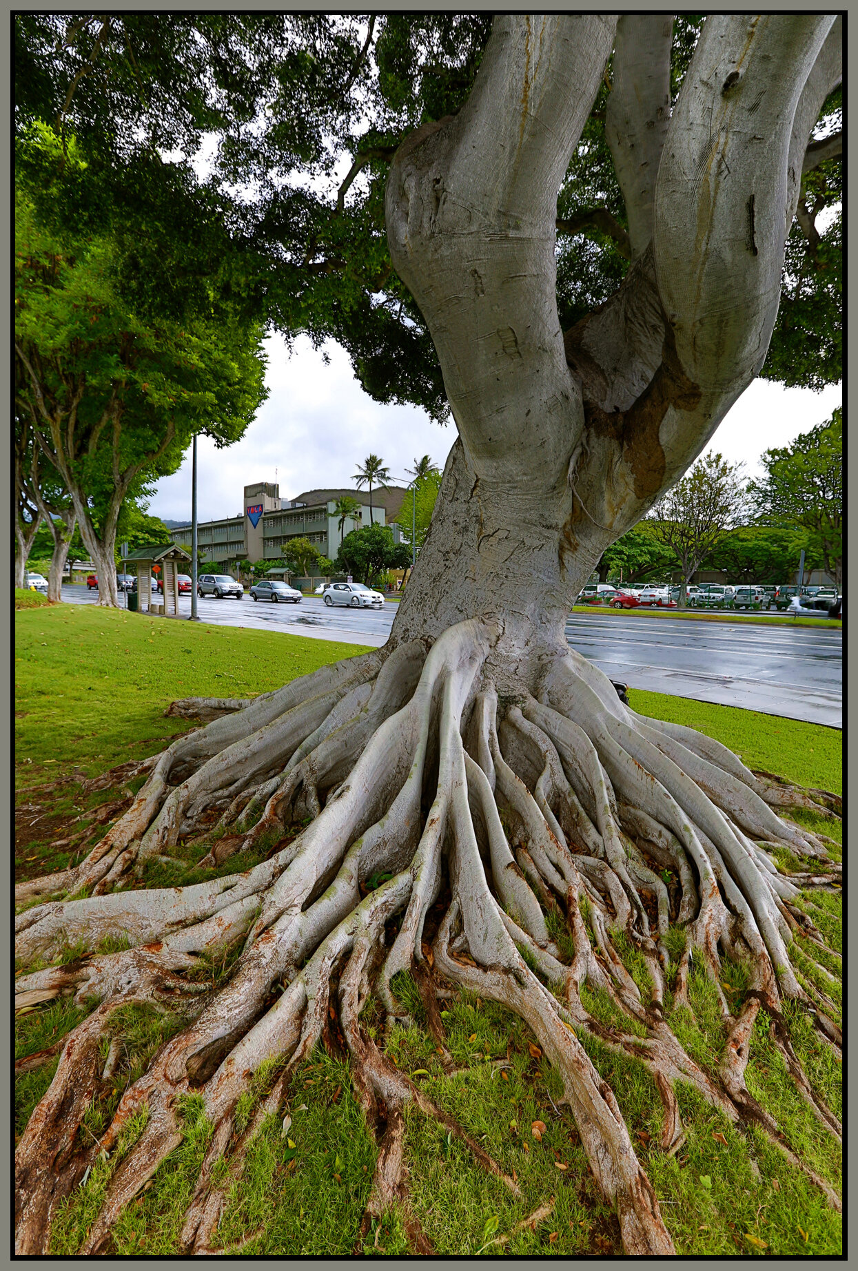 Hawaii_Nov 17 2012_HDR_C9265e_4x6s.jpg