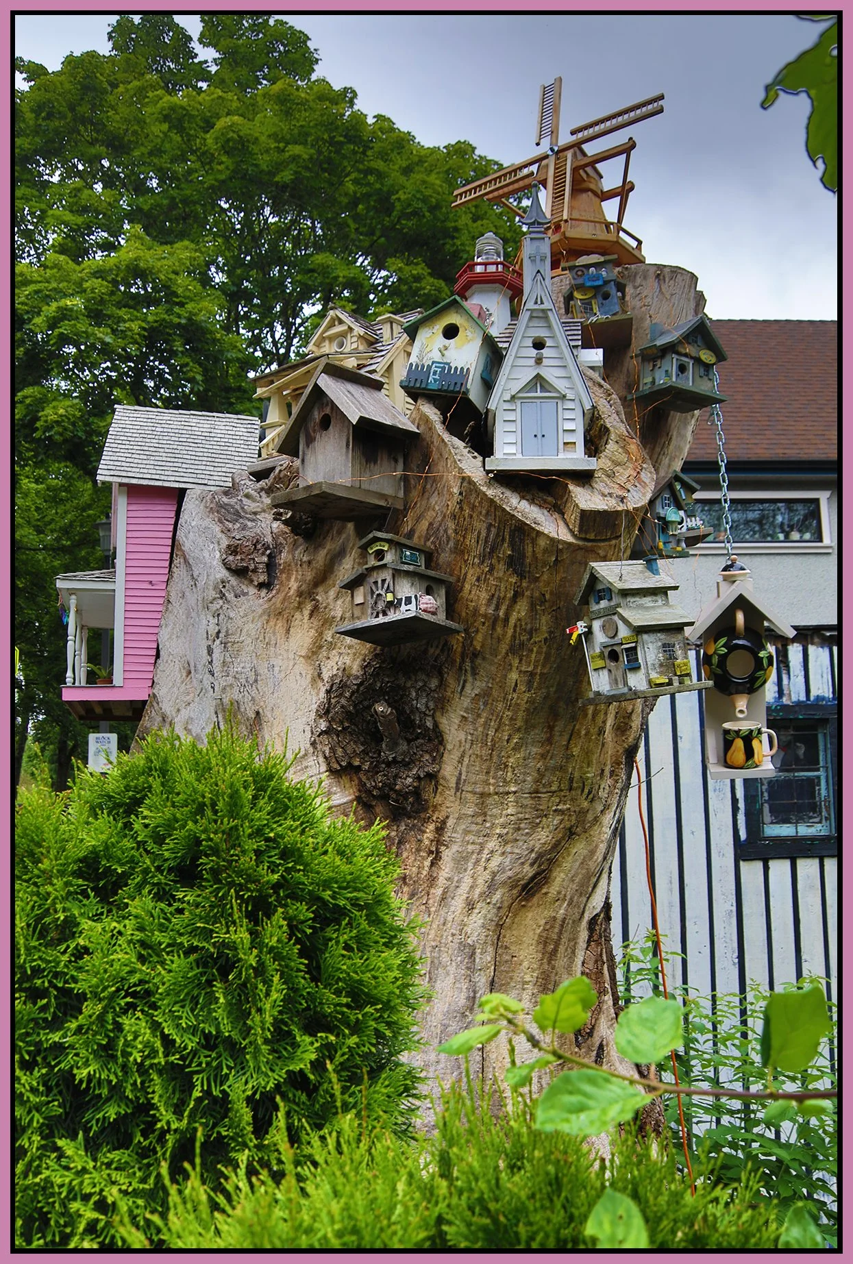 580 Heatley Tree Houses_Jun 22_2028_HDR_4J6521_4x6s.jpg