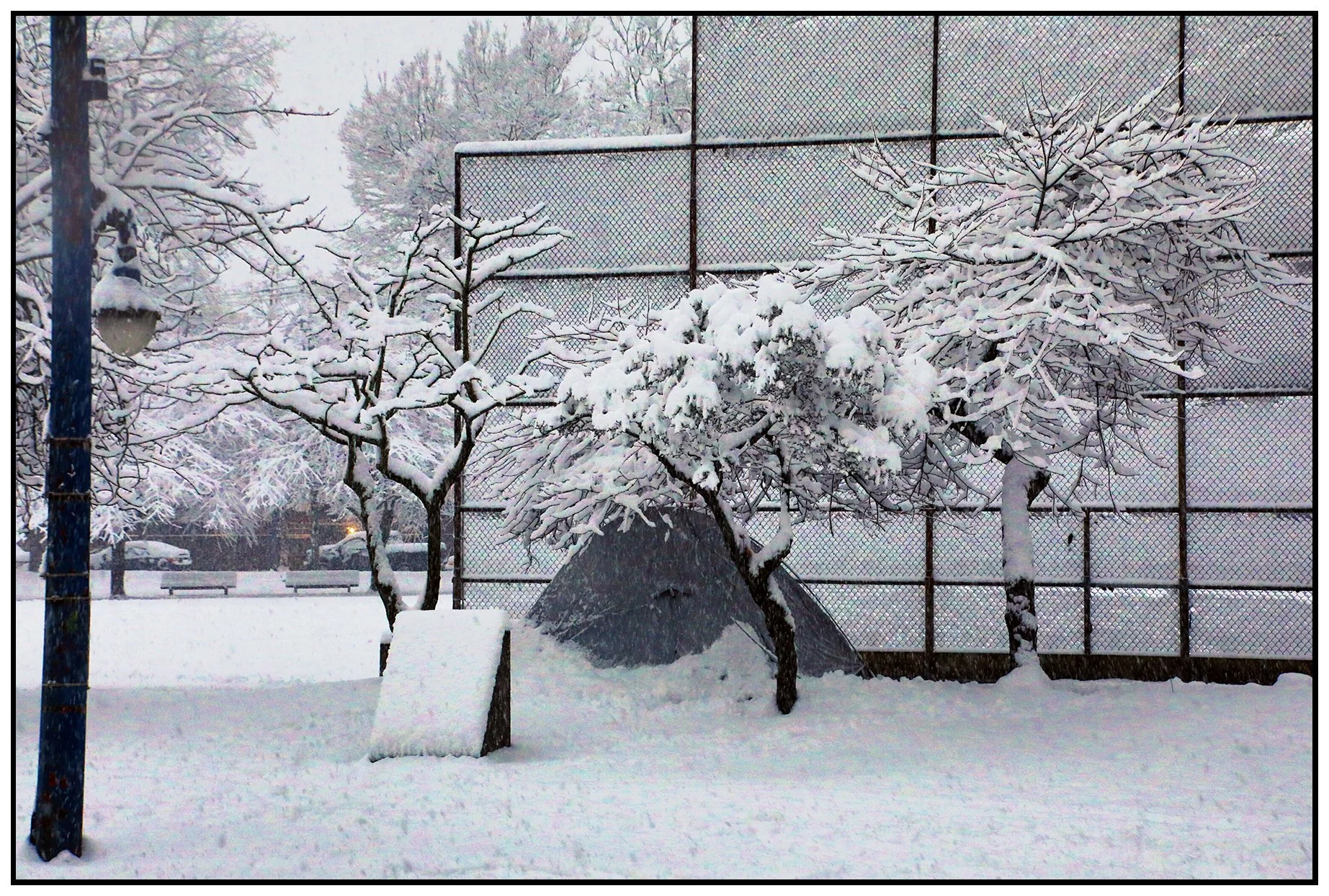 Oppenheimer Park in the Snow_Jan 17_2024_HDR_5E3796_peLc_4x6s.jpg