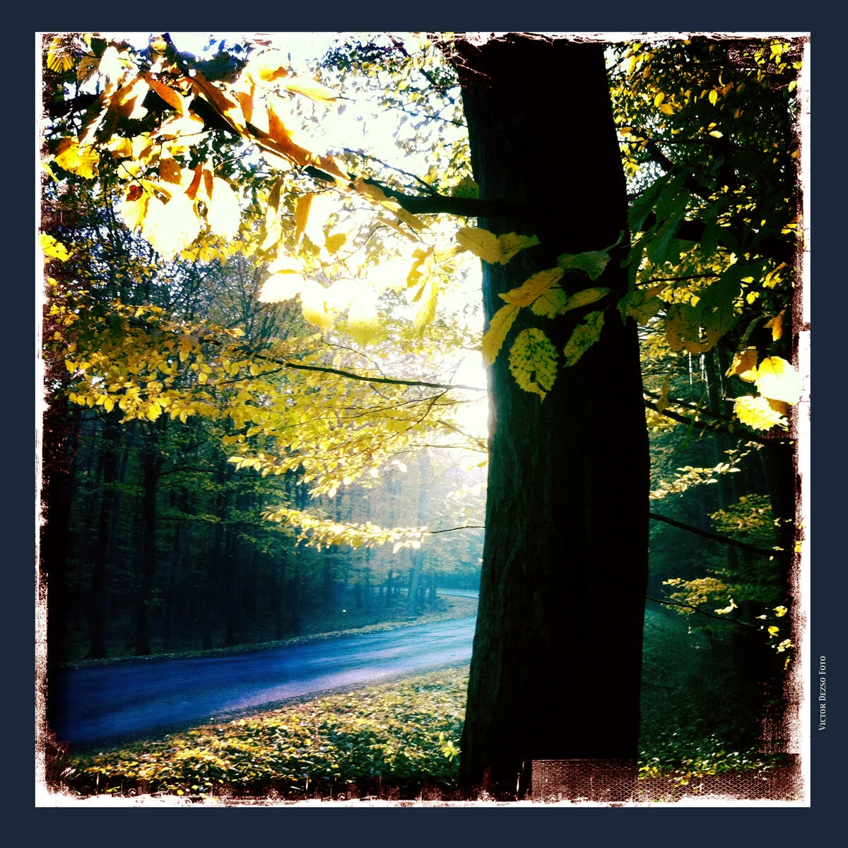 Mátra_Nov 1_201_1284_4x4.jpg