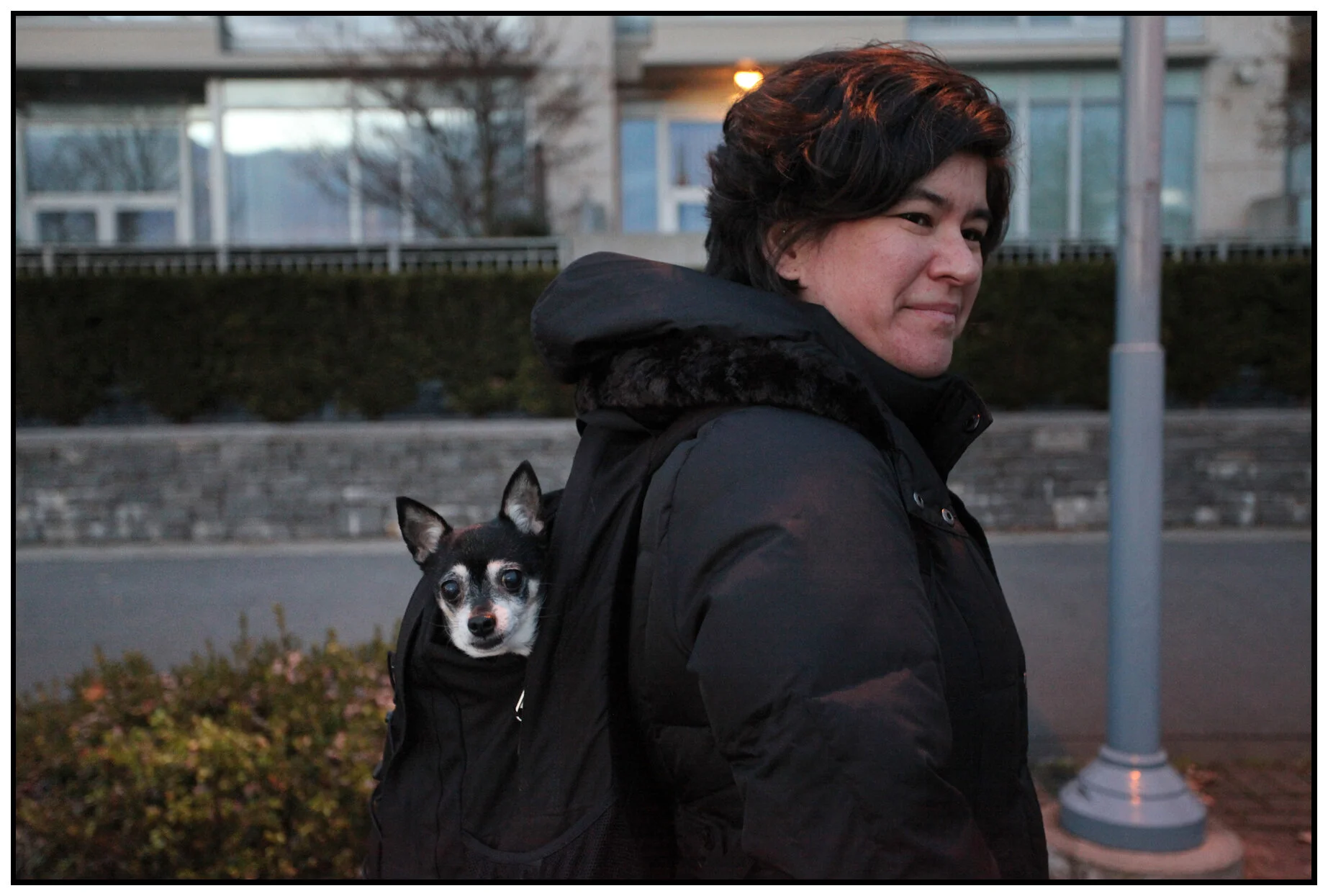Doggy Bag_Dec 5_2010_4793_4x6s.jpg
