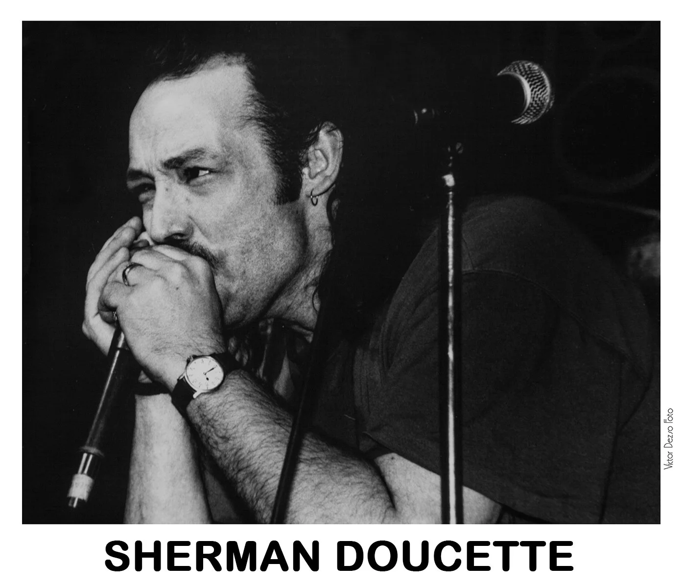 Sherman Doucette_8191_4x5.jpg