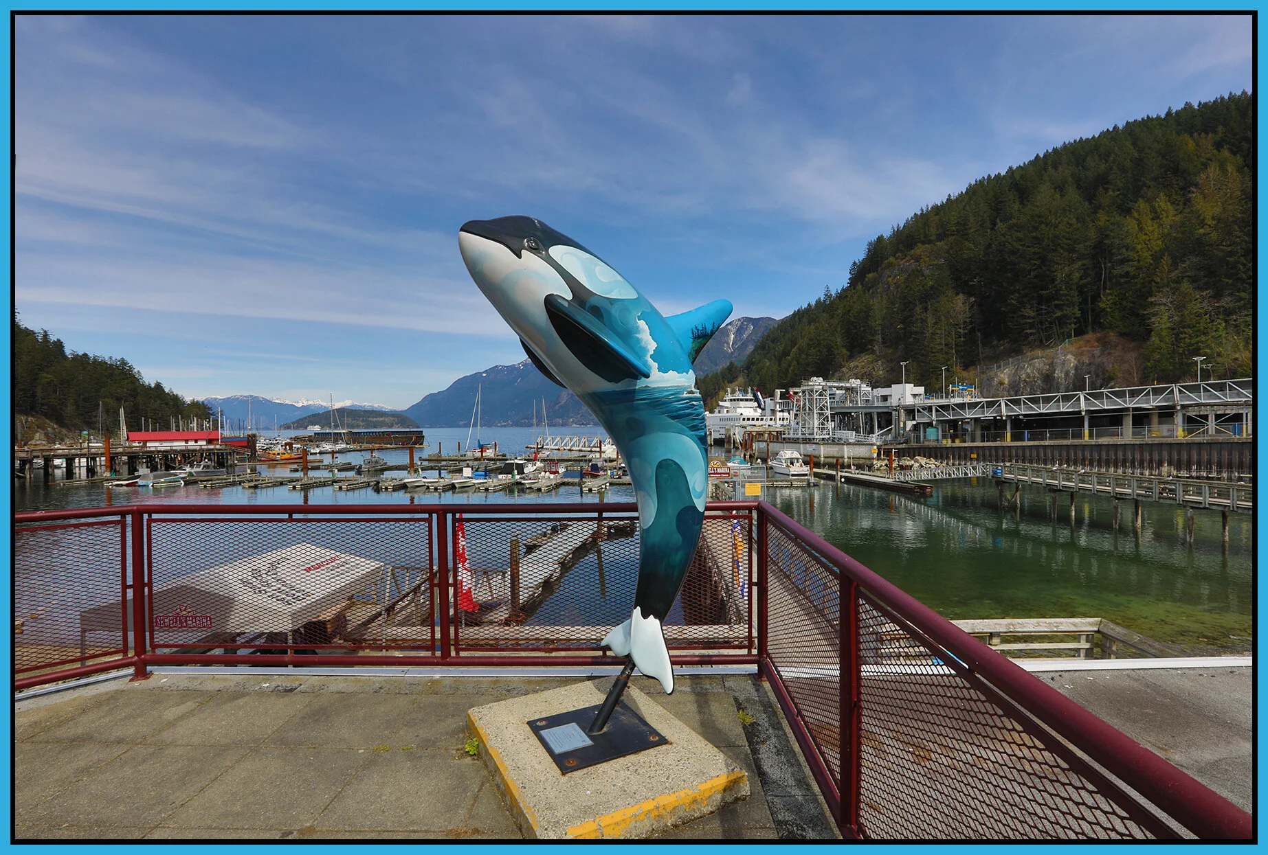 Dolpin in Horseshoe Bay_Apr 2_2019_HDR_E9827_4x6s.jpg