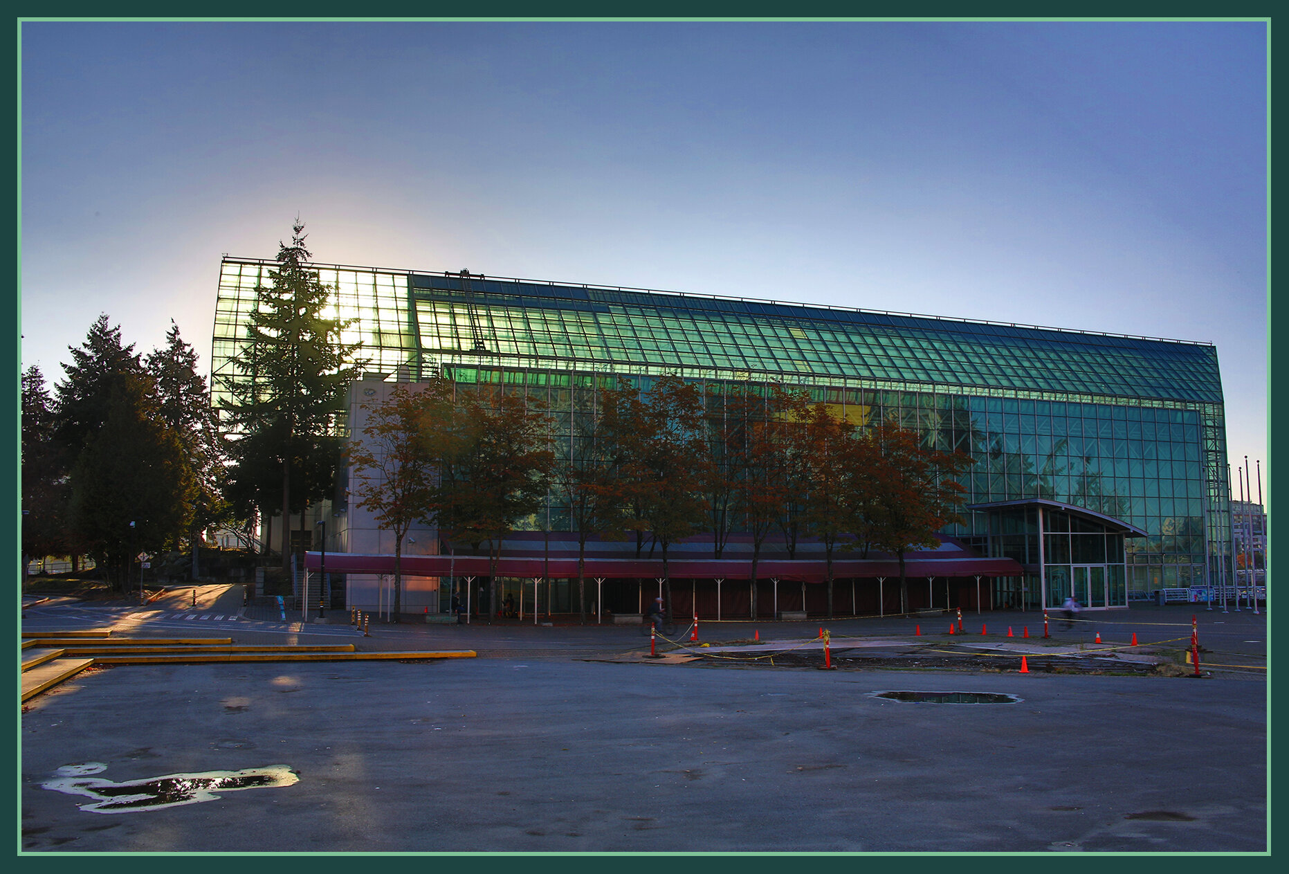Plaza of Nations Tree_Sep 18_2018_HDR_A7420_4x6s.jpg