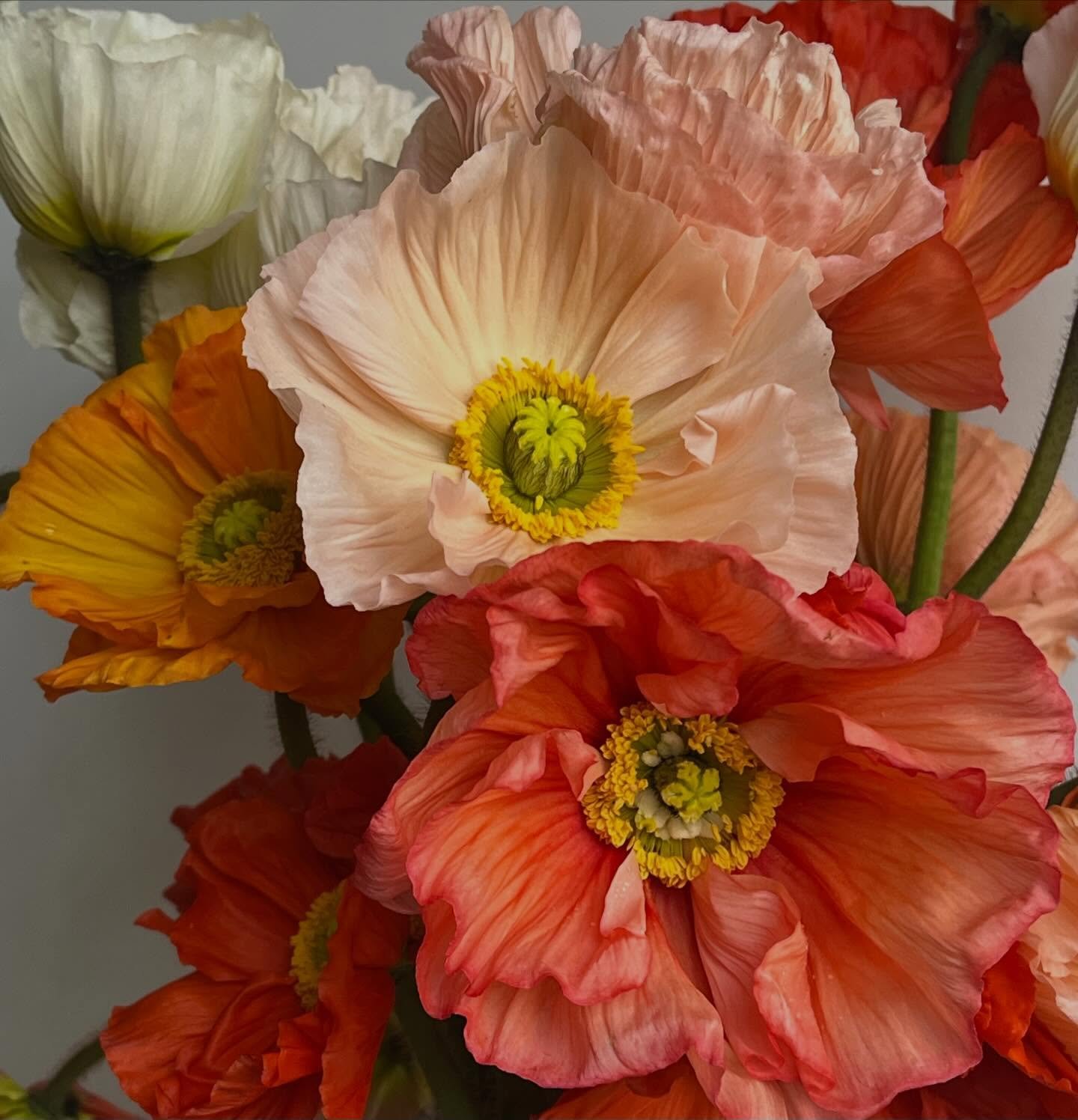 Mothers and Daughters! Grab your Spring floral workshop ticket from the website and enjoy an evening of bonding and beautiful flowers. You will learn how to create a gorgeous arrangement using professional floristry techniques. Hope to see you there.