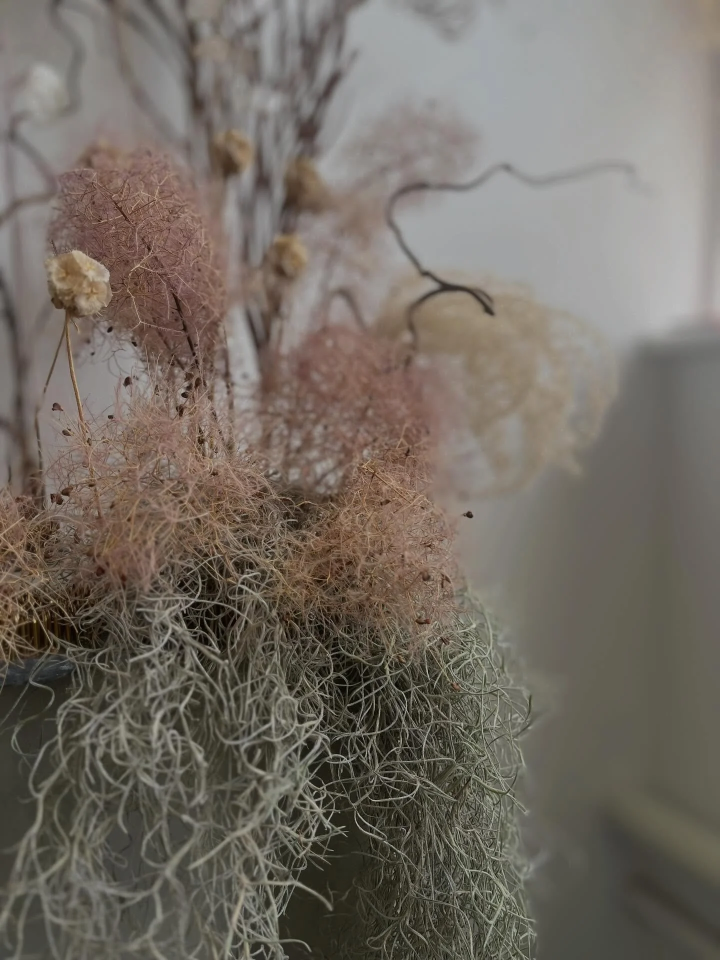 Tomorrow, Monday 3rd May, Wild &amp; King will be presenting forever flowers at Dulwich Picture Gallery&rsquo;s Wedding Showcase!
Book your free tickets @dulwichgallery .
X

#weddingflowers #londonflorist #weddinginspiration #floraldesign #flowerstha
