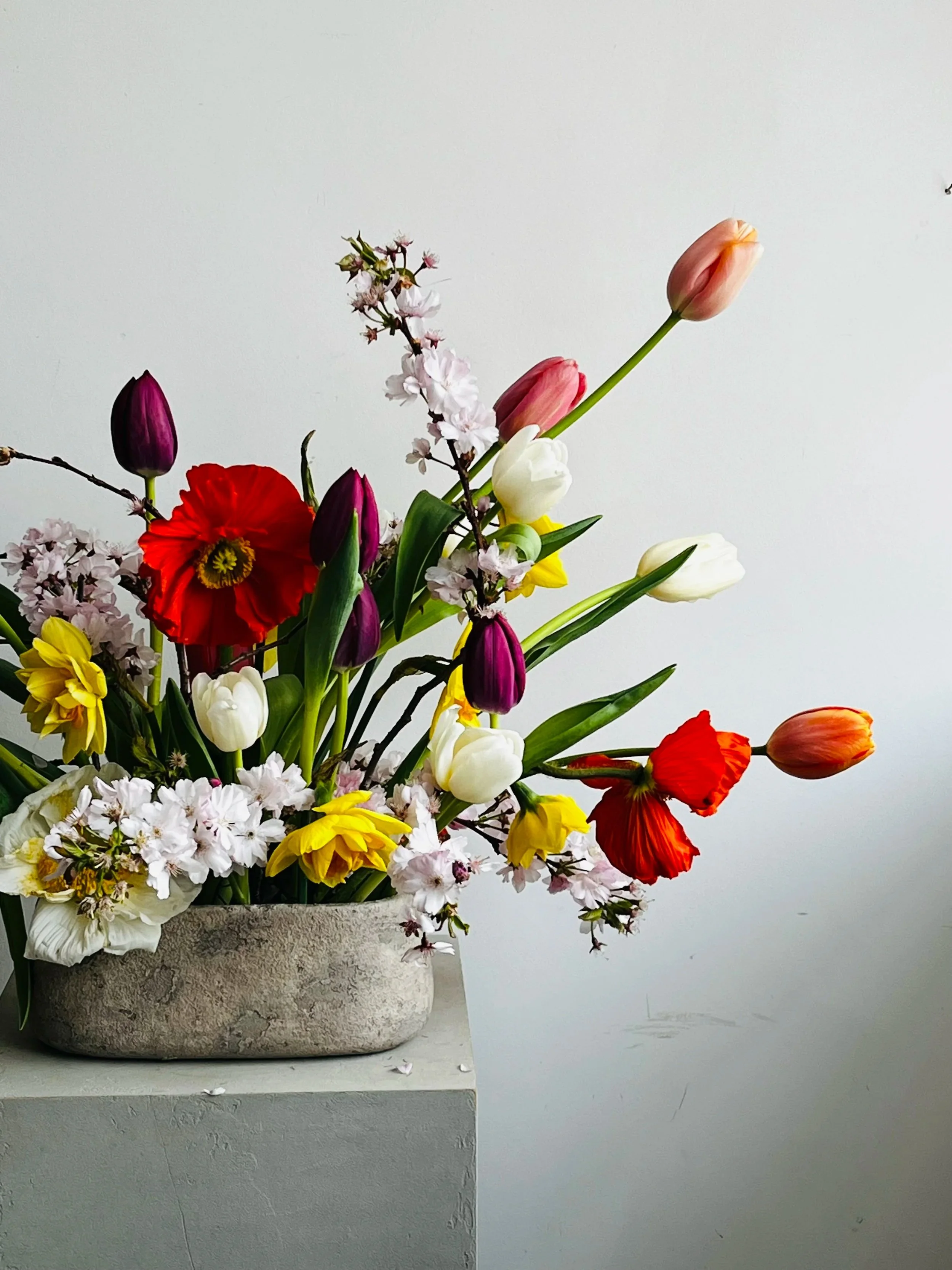 TulipsArrangement.jpg
