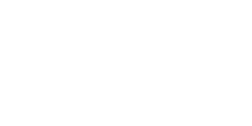 Selection2020-reverse.png