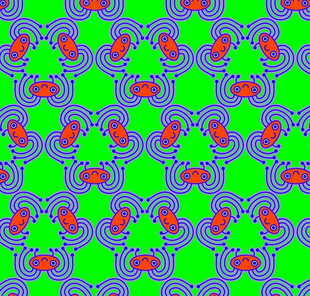 pattern araignée-min.jpg