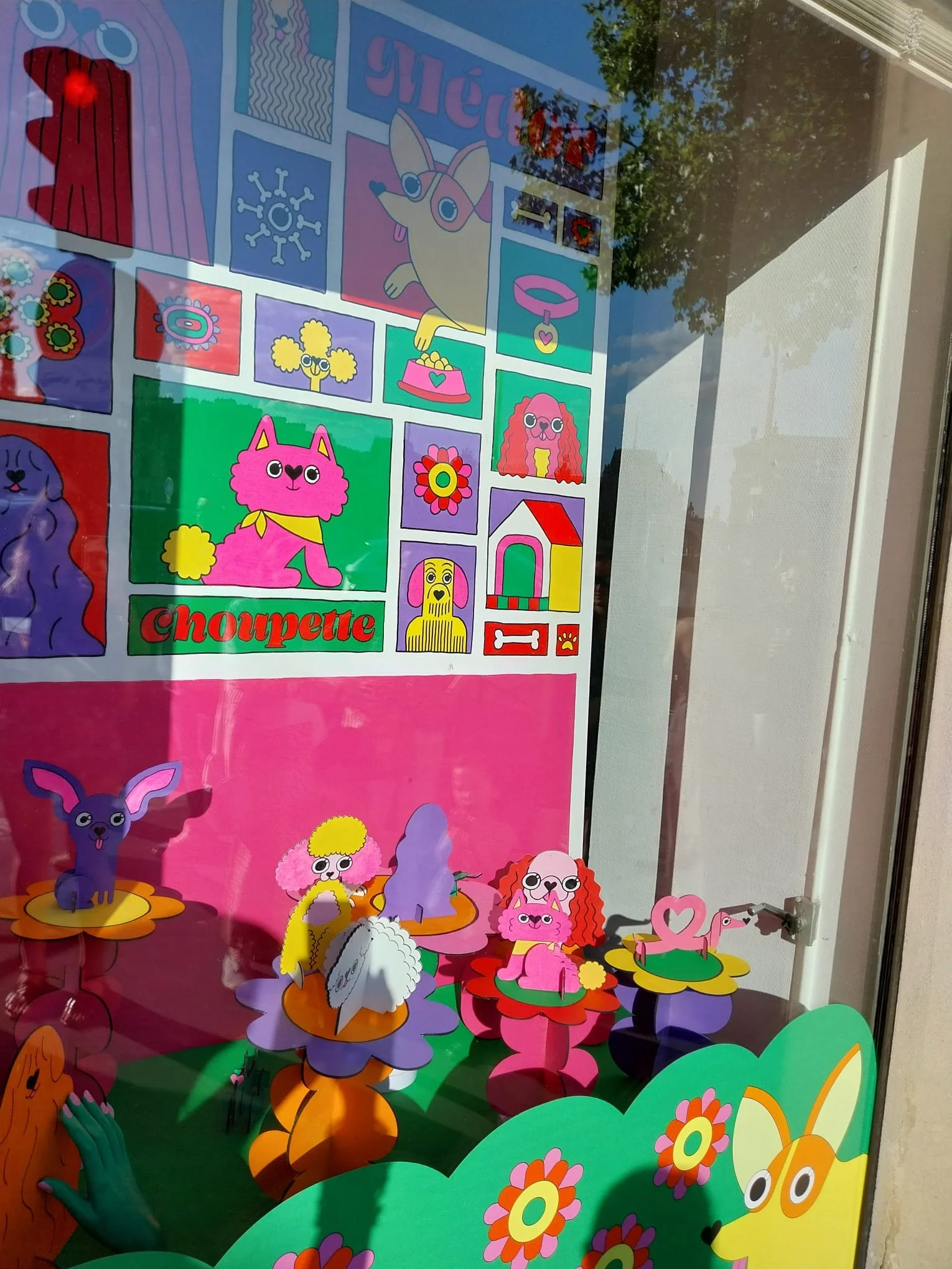 canis-floris-vitrine-trois-quart.jpeg