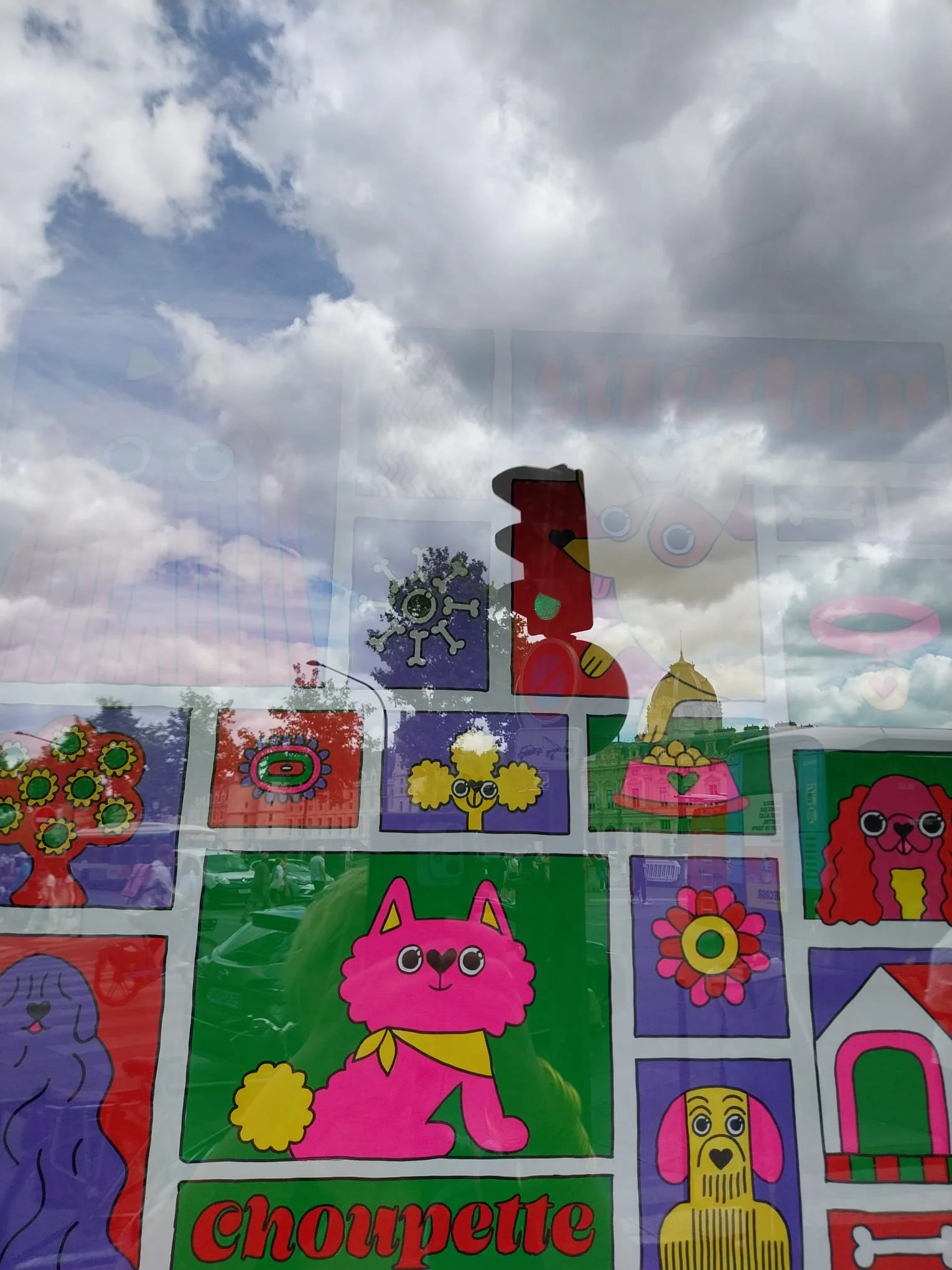canis-floris-vitrine-zoom-nuage.jpeg