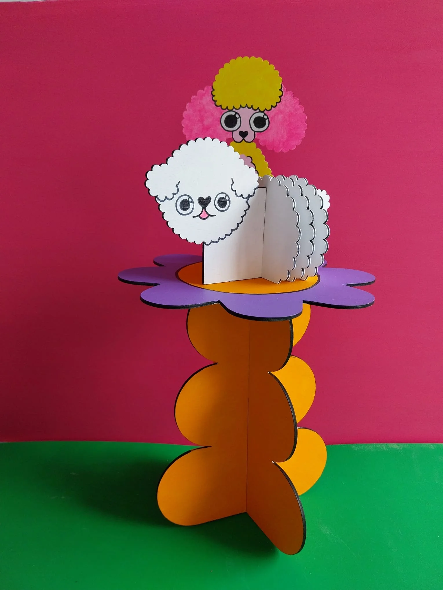 canis-floris-chien-caniche-bichon.jpeg