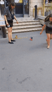 course-chiens-roulettes-tous copie.gif