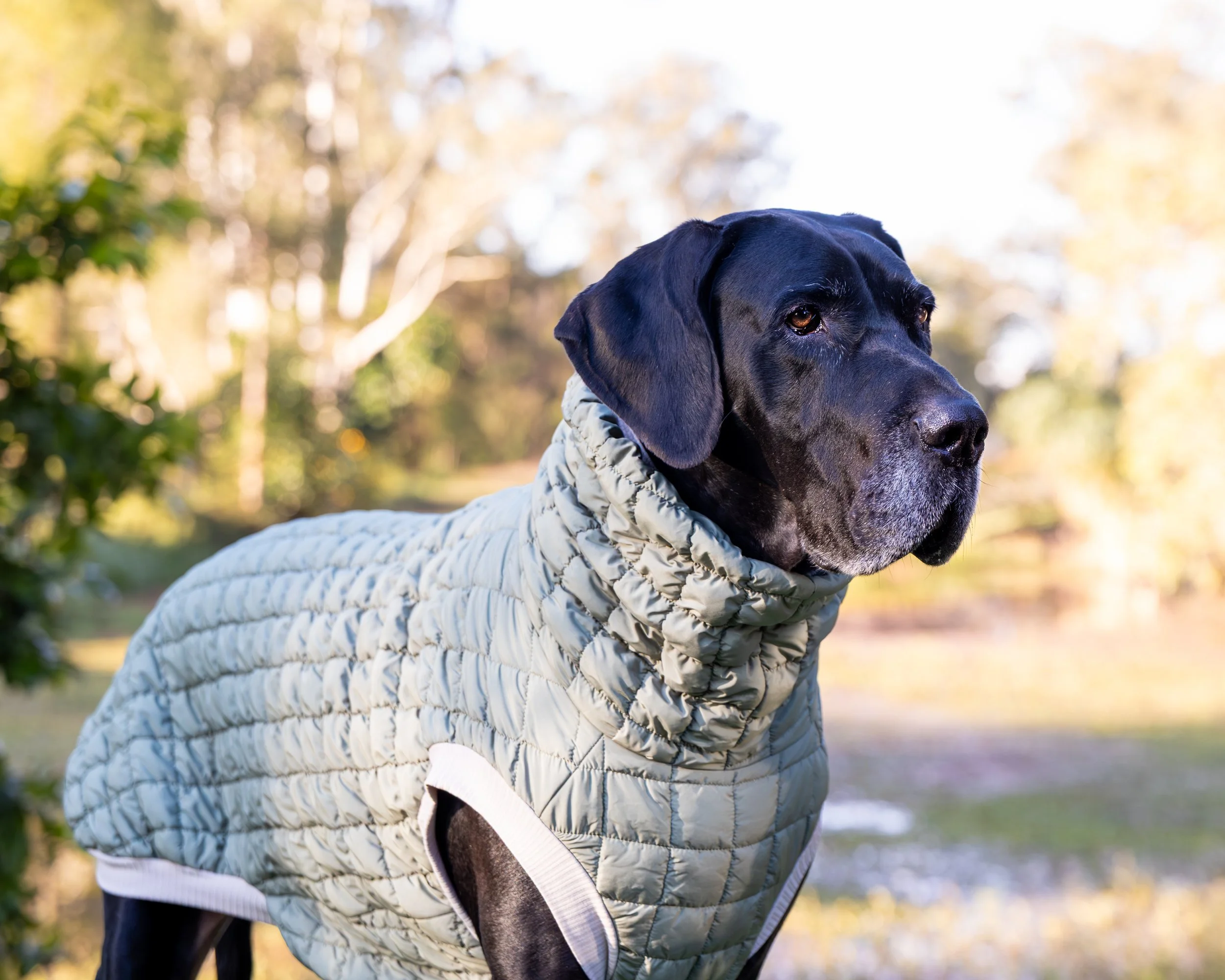 CLOUDLINE Quilted Puffer Jumper (ready-made)