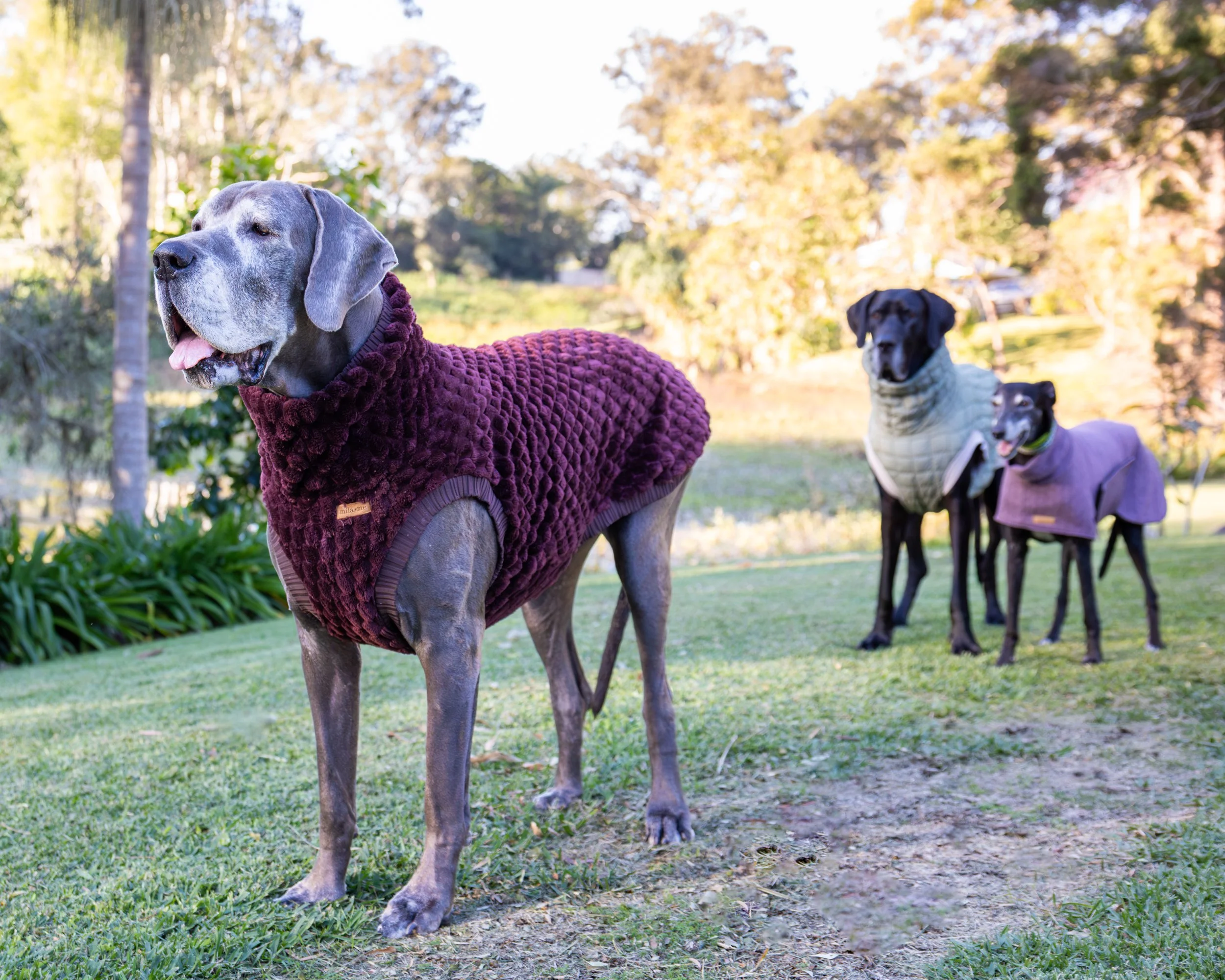 the PLUSH TURTLENECK - Espresso (ready-made)