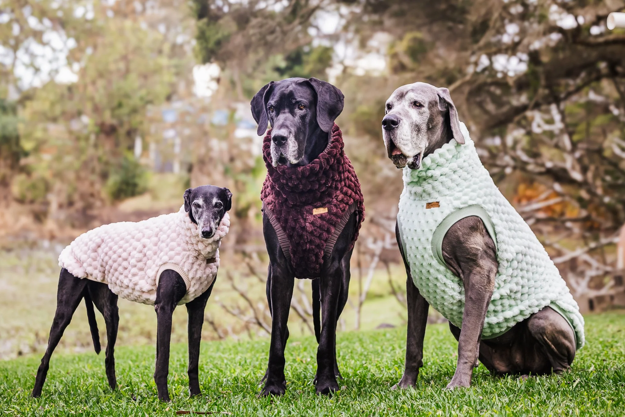 the PLUSH TURTLENECK (ready-made)