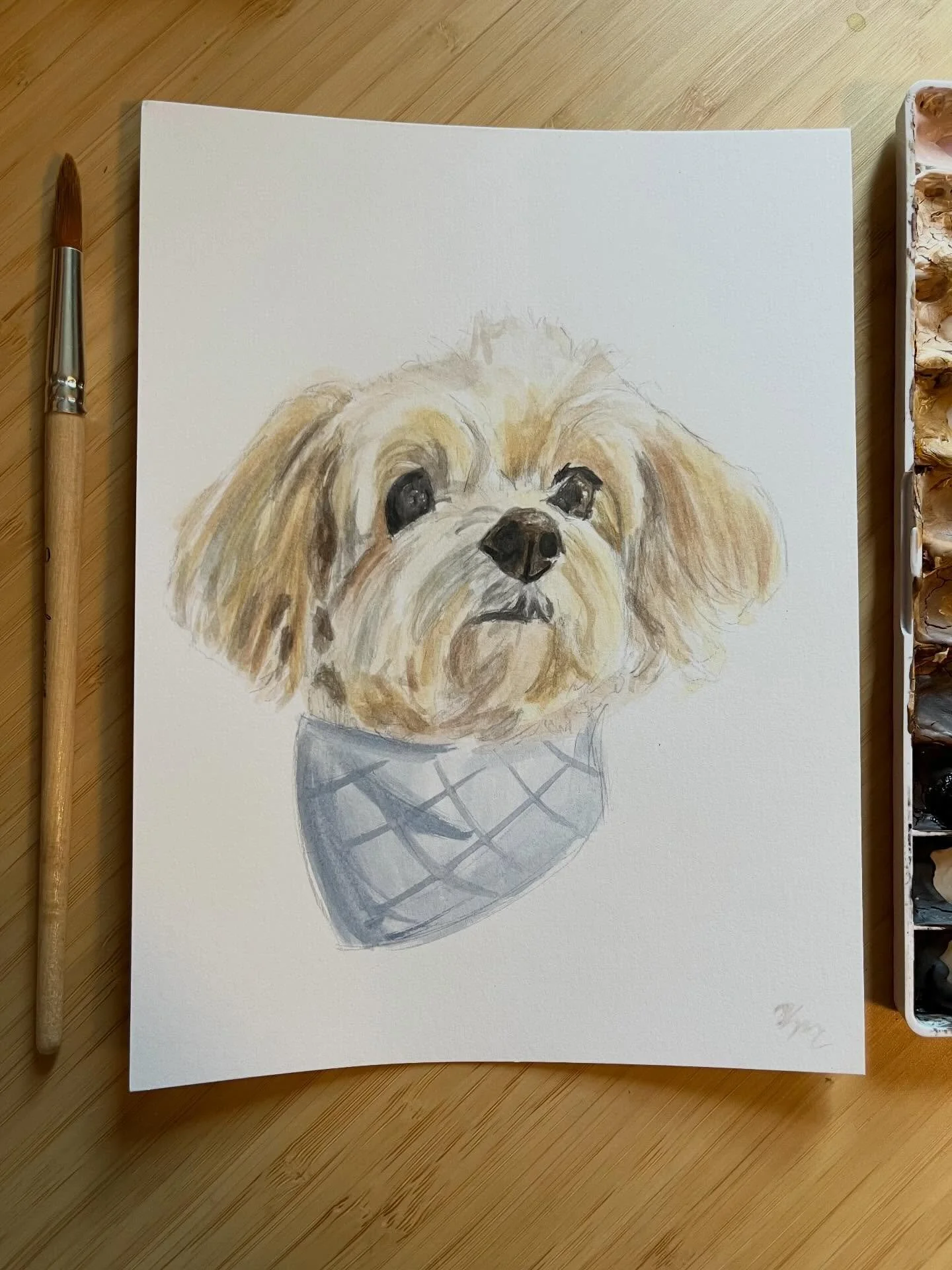 Happy National Pet Day to all the precious pups I&rsquo;ve gotten to paint that are more than pets, they&rsquo;re family! 🐾

#dogpainting #petpainting #petportrait #petlovers #nationalpetday