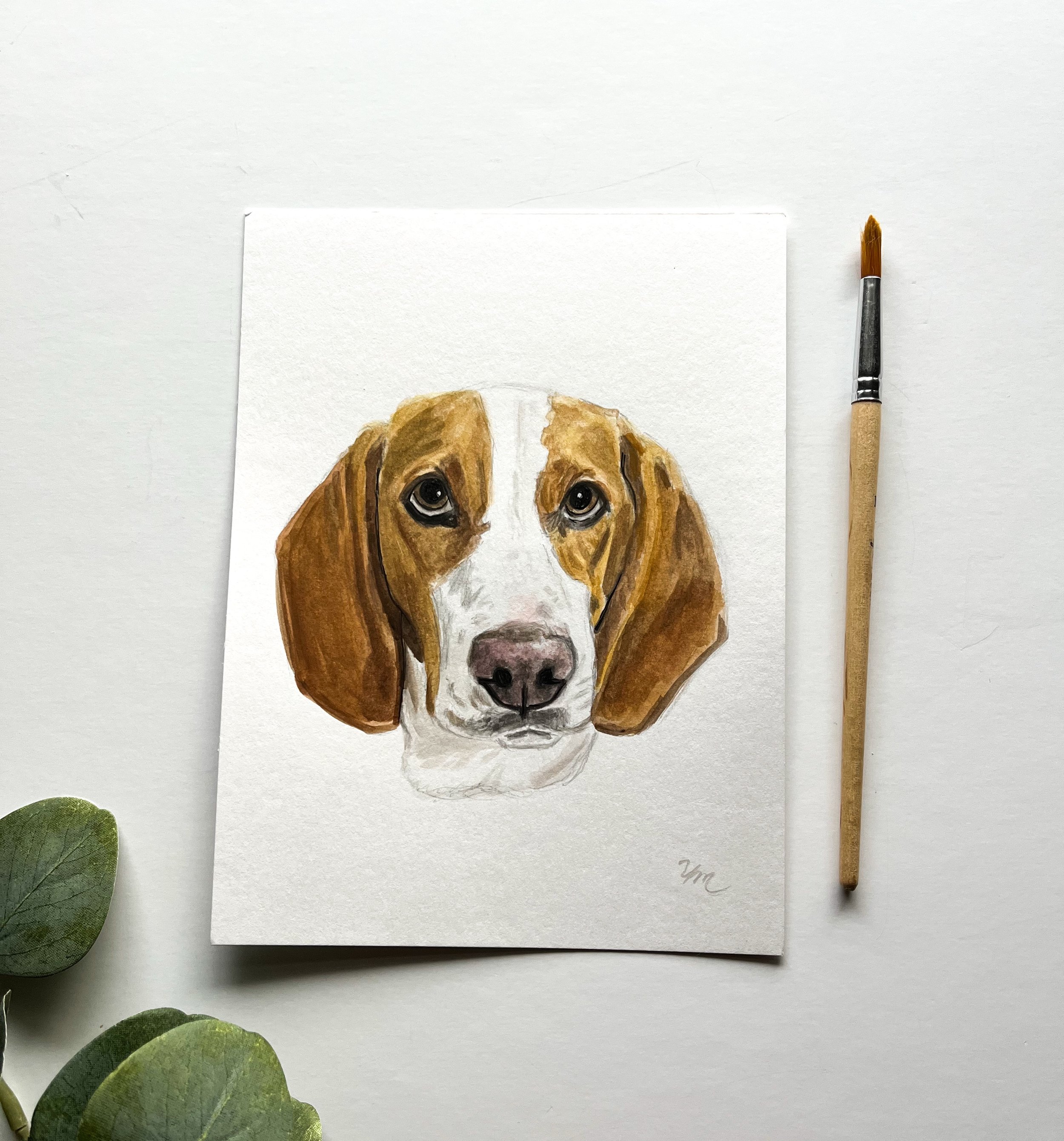 Dog Water Color Painting