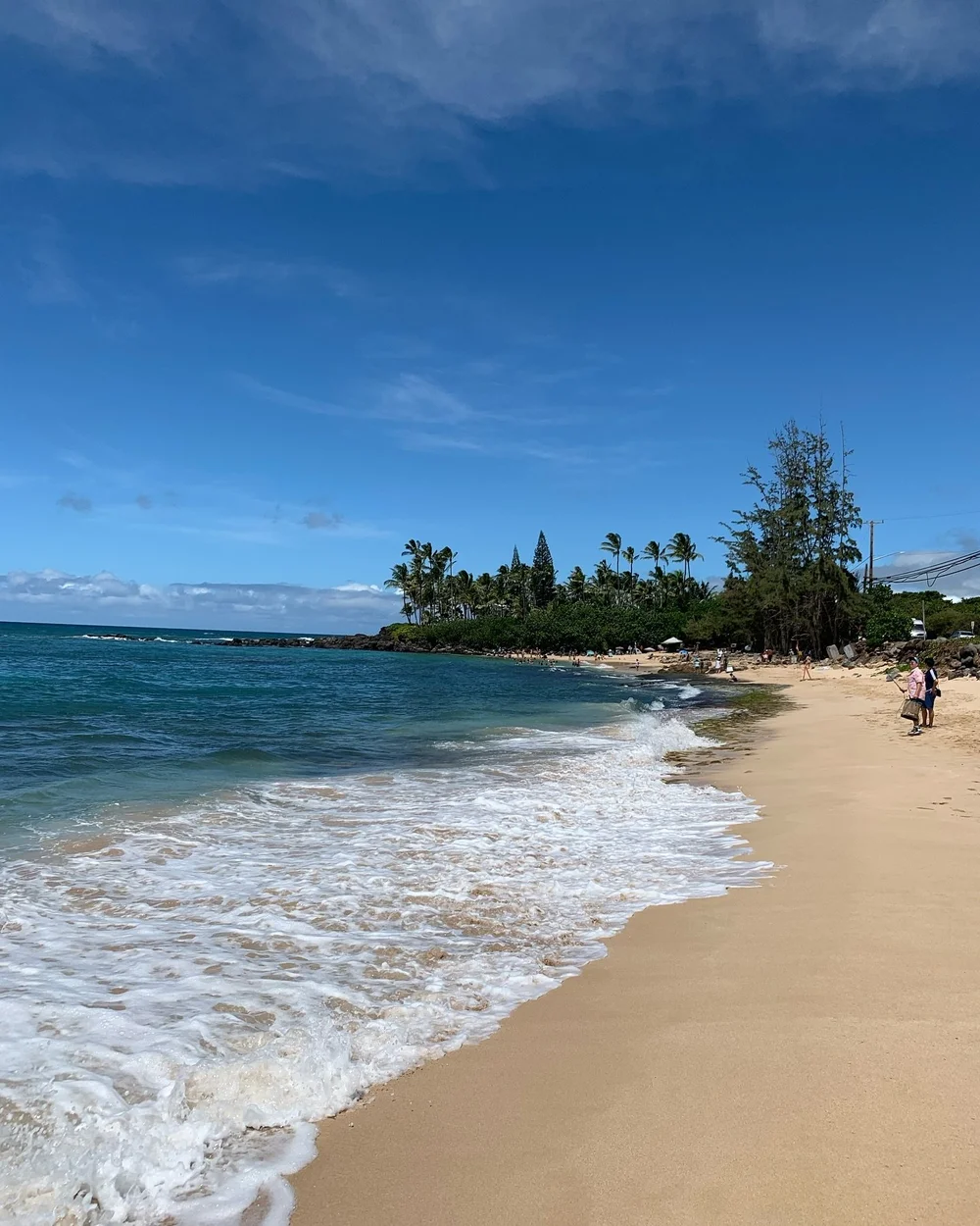 Oahu&rsquo;s North Shore makes for the perfect day trip 🌊 From delicious malasadas at Leonard&rsquo;s to the scenic Waimea Valley and snorkeling at Shark&rsquo;s Cove, this part of the island never disappoints! Who else is craving garlic shrimp from