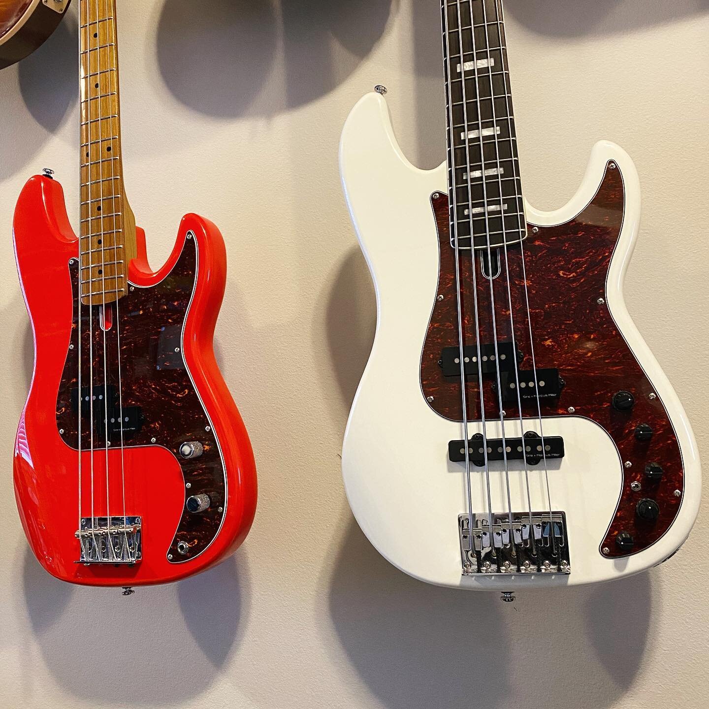 Would you want to see an A-B comparison video of these two basses? 
Sire P5 with roundwounds
Sire P7 5-string with flatwounds
.
.
.
.
.
#basses #sirebass #comparison #bassreview #bassguitar #bassist #bassplayer #bassplayers #bassplayersunited #sire #