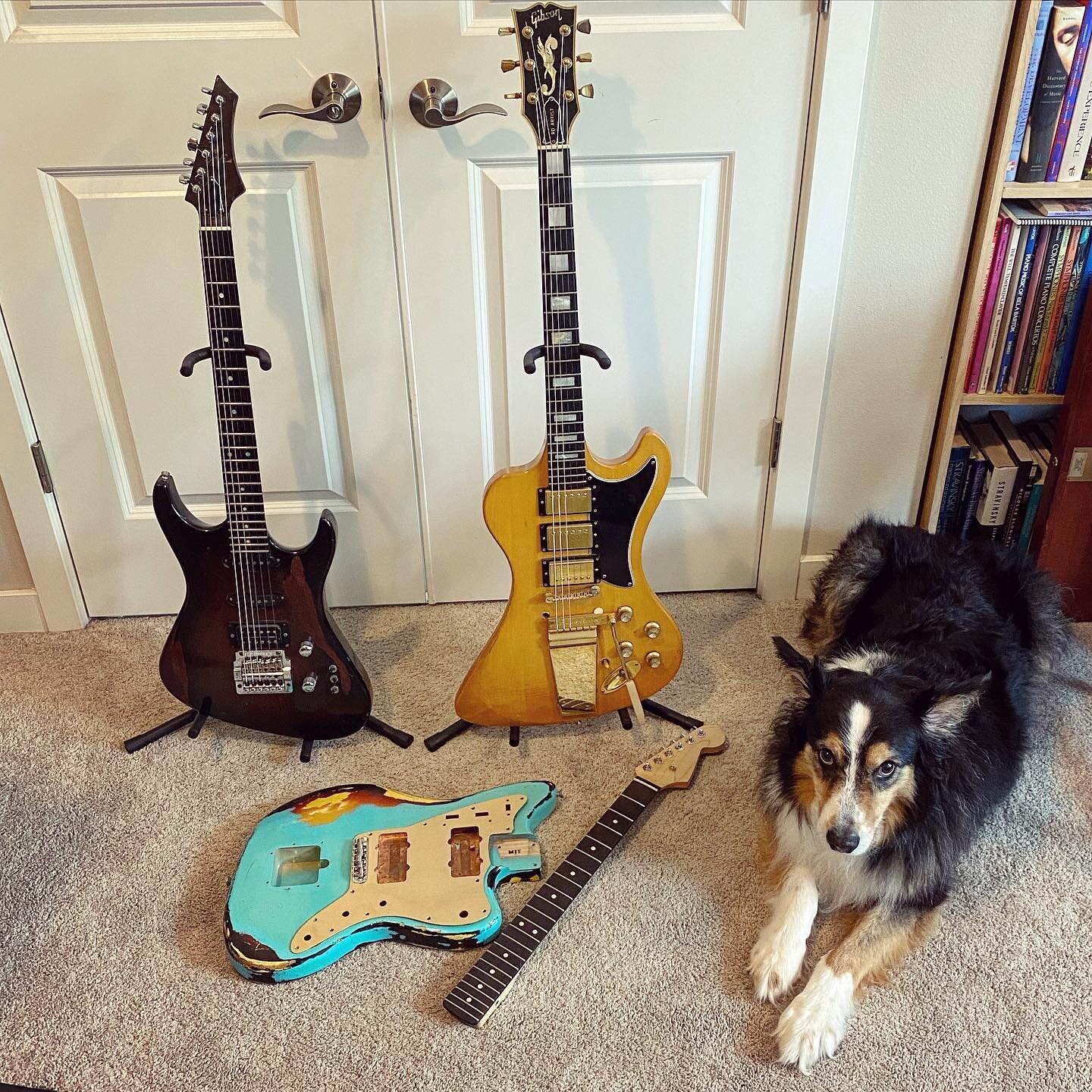 My offset guitars. Need to finish that Jazzmaster 😍
Top Left: Time guitar (a old brand out of Vermont with some killer pickups!)
Top Right: Gibson RD
Center: MJT Jazzmaster project
Dog: Monty
.
.
.
.
.
#offset #offsetguitars #guitar #guitarista #gui