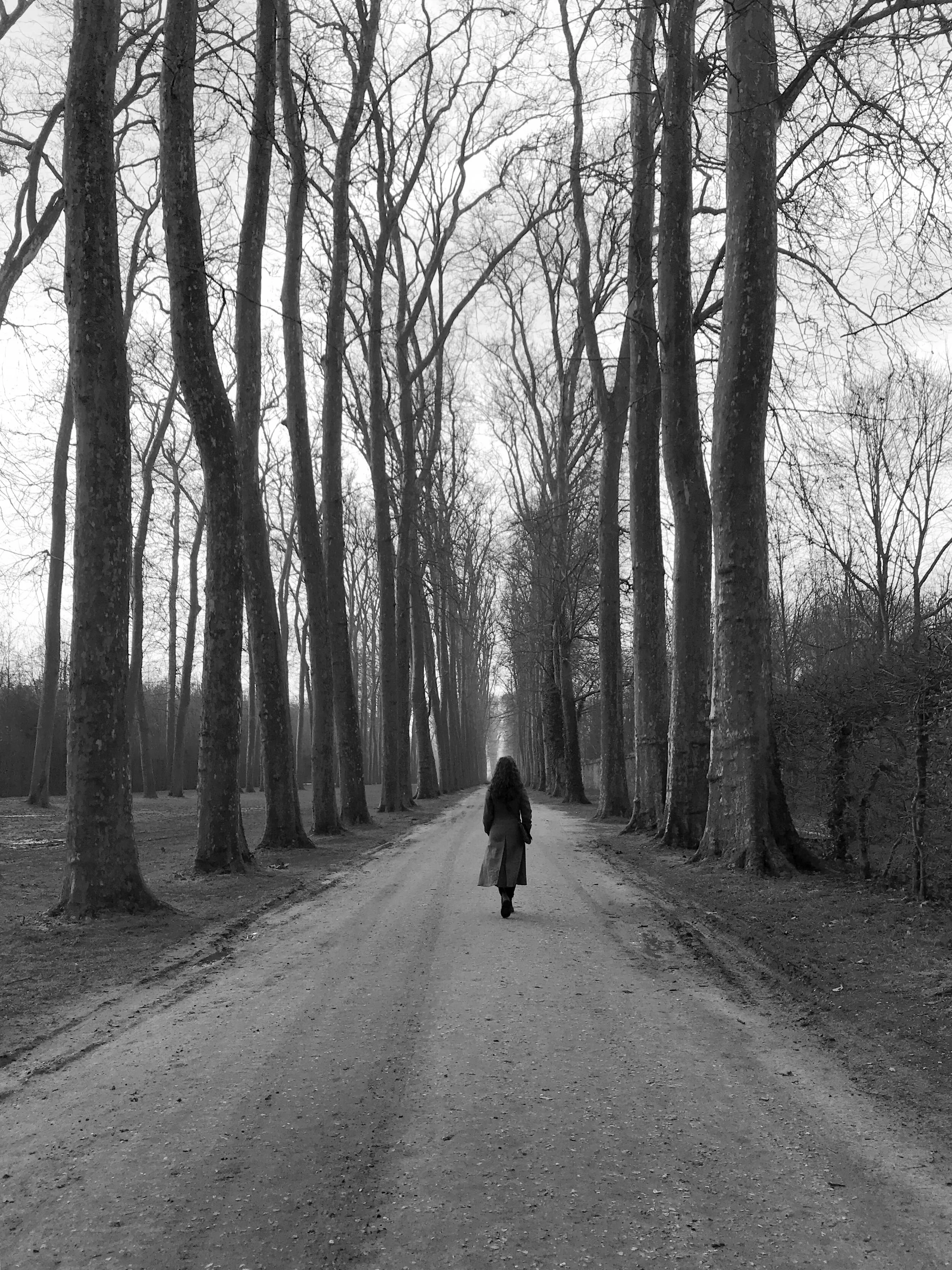IMG_6833 BW.jpg