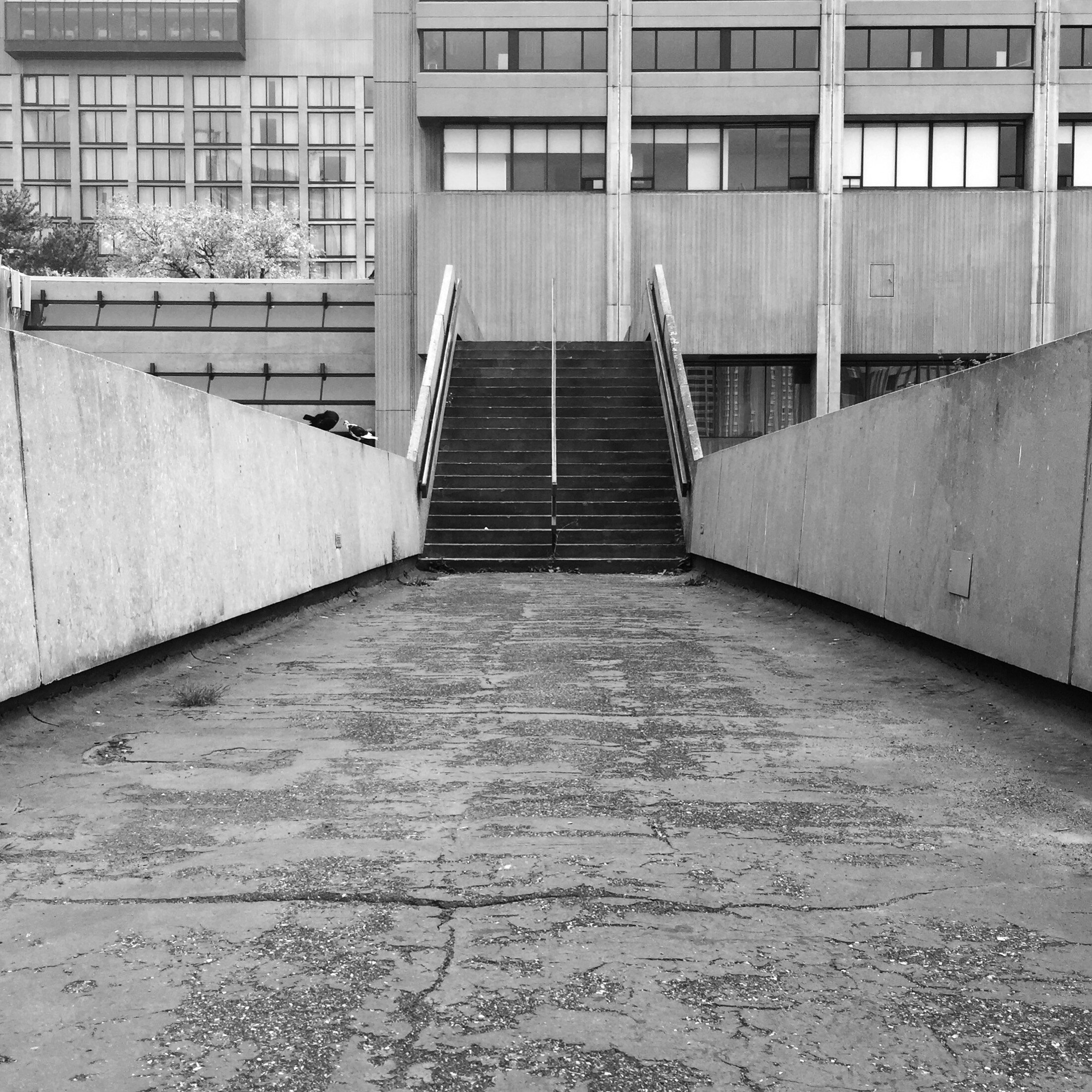 Walkway edit.jpg
