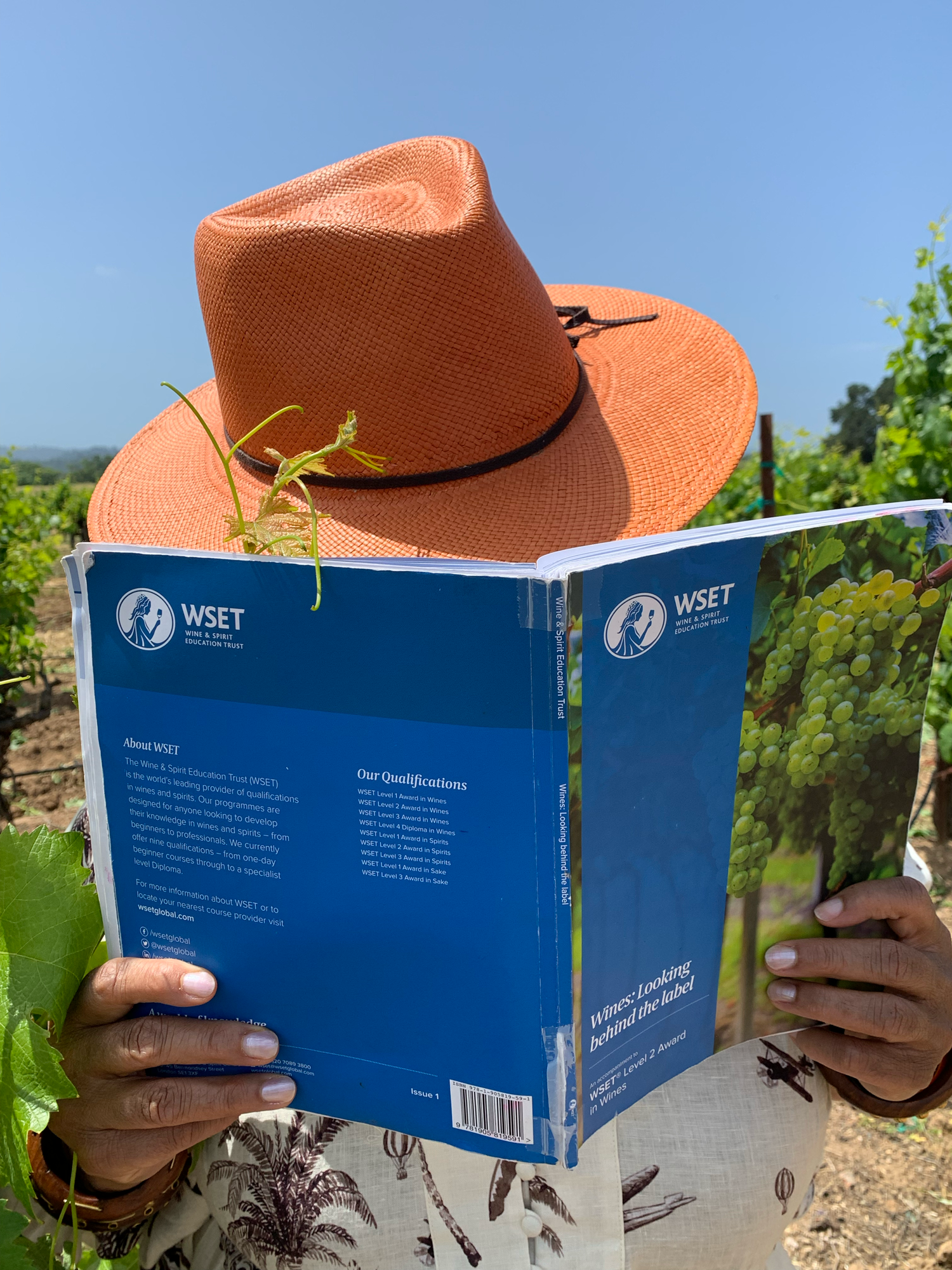 Wine Unify Announces WSET Level 3 Elevate Award Recipients 